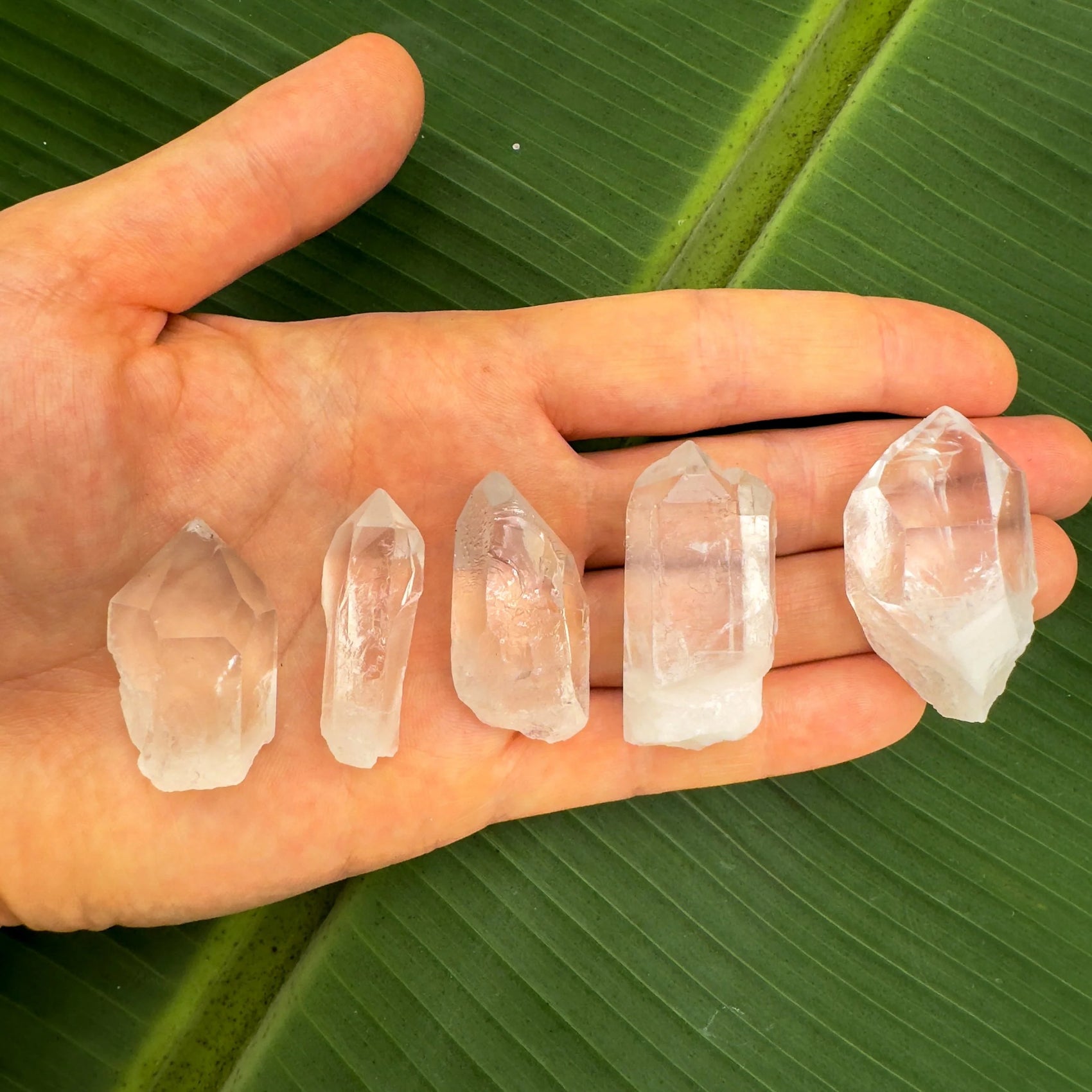 Full profile of Grade AA Clear Quartz point ready to ship from Beyond Bohemian