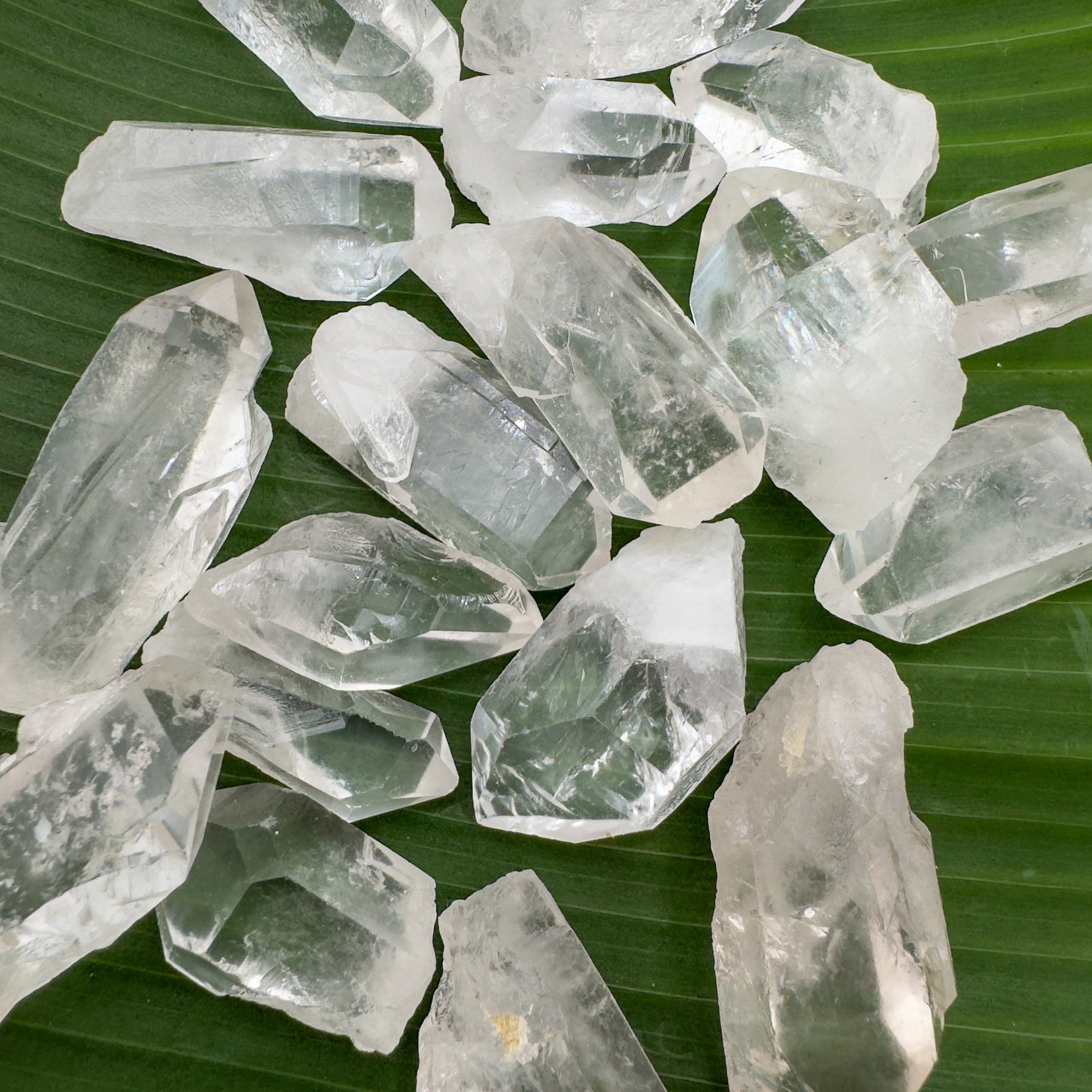 Natural light view of one Clear Quartz raw point for scale, sourced from Brazil.
