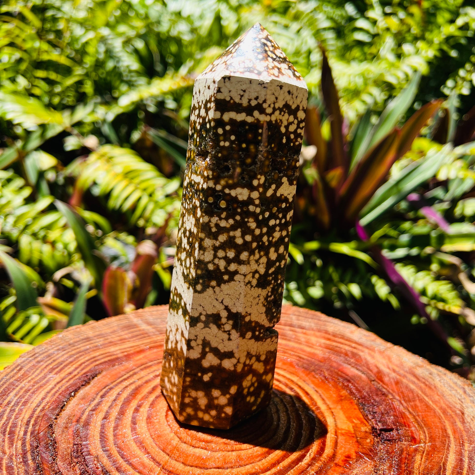 Side perspective of Ocean Jasper polished point, from Sofia, Madagascar.