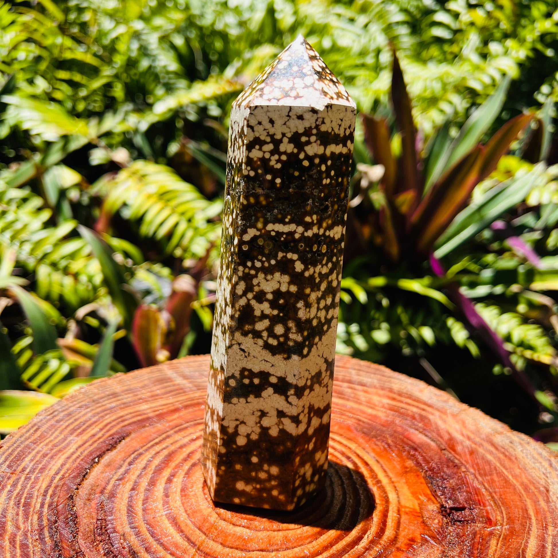 Top-side view of Ocean Jasper polished point, sourced from Sofia, Madagascar, showing characteristic color.