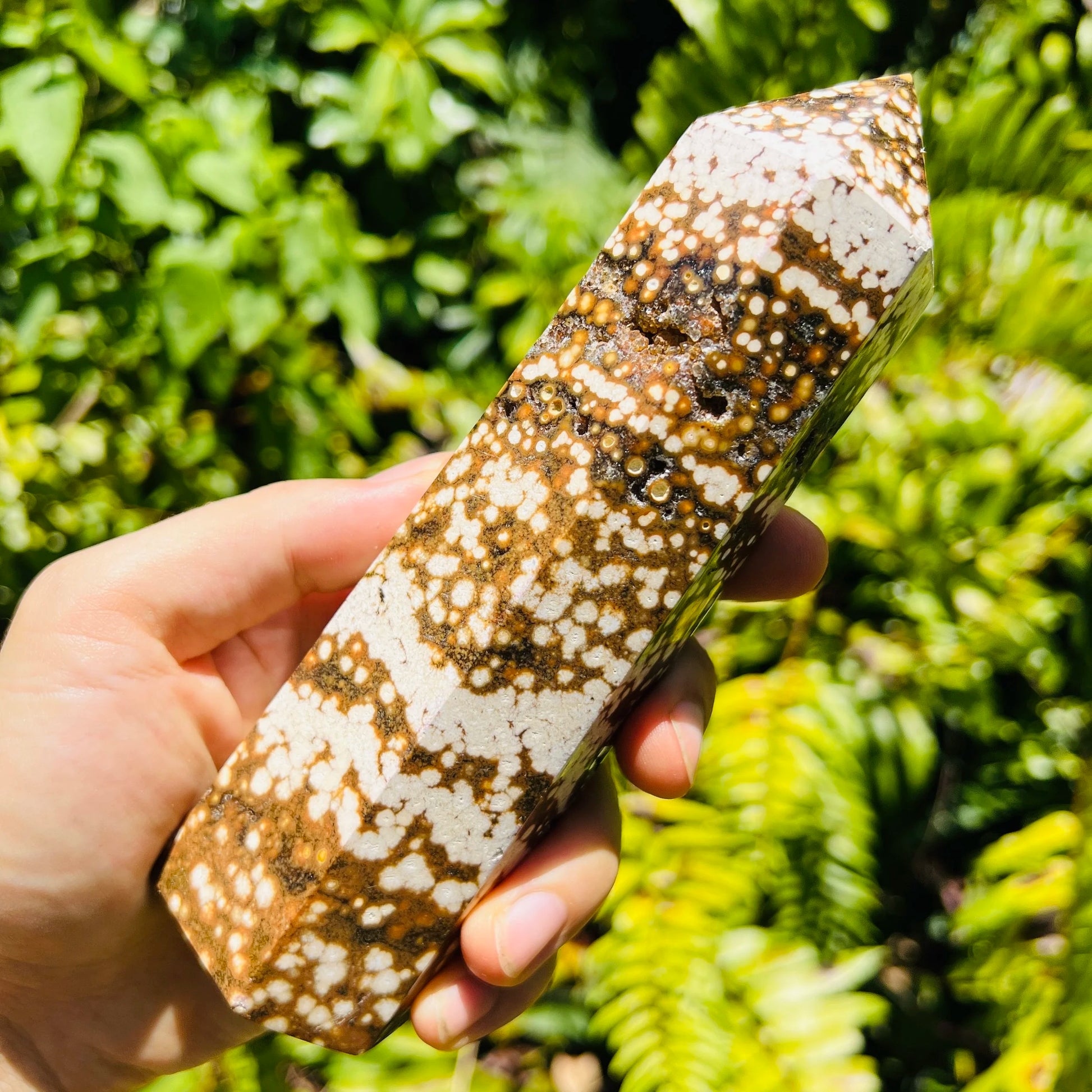 Daylight view of a single Ocean Jasper polished point hand-selected from Sofia, Madagascar.