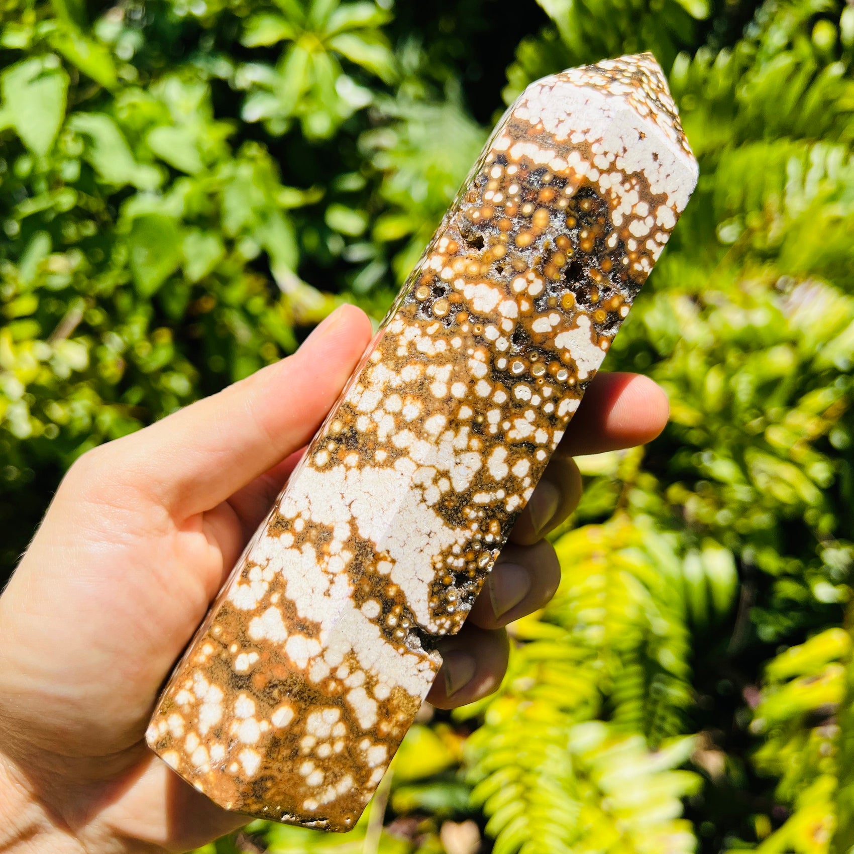 Scale comparison of Ocean Jasper stone, from Sofia, Madagascar, shown in its everyday setting.