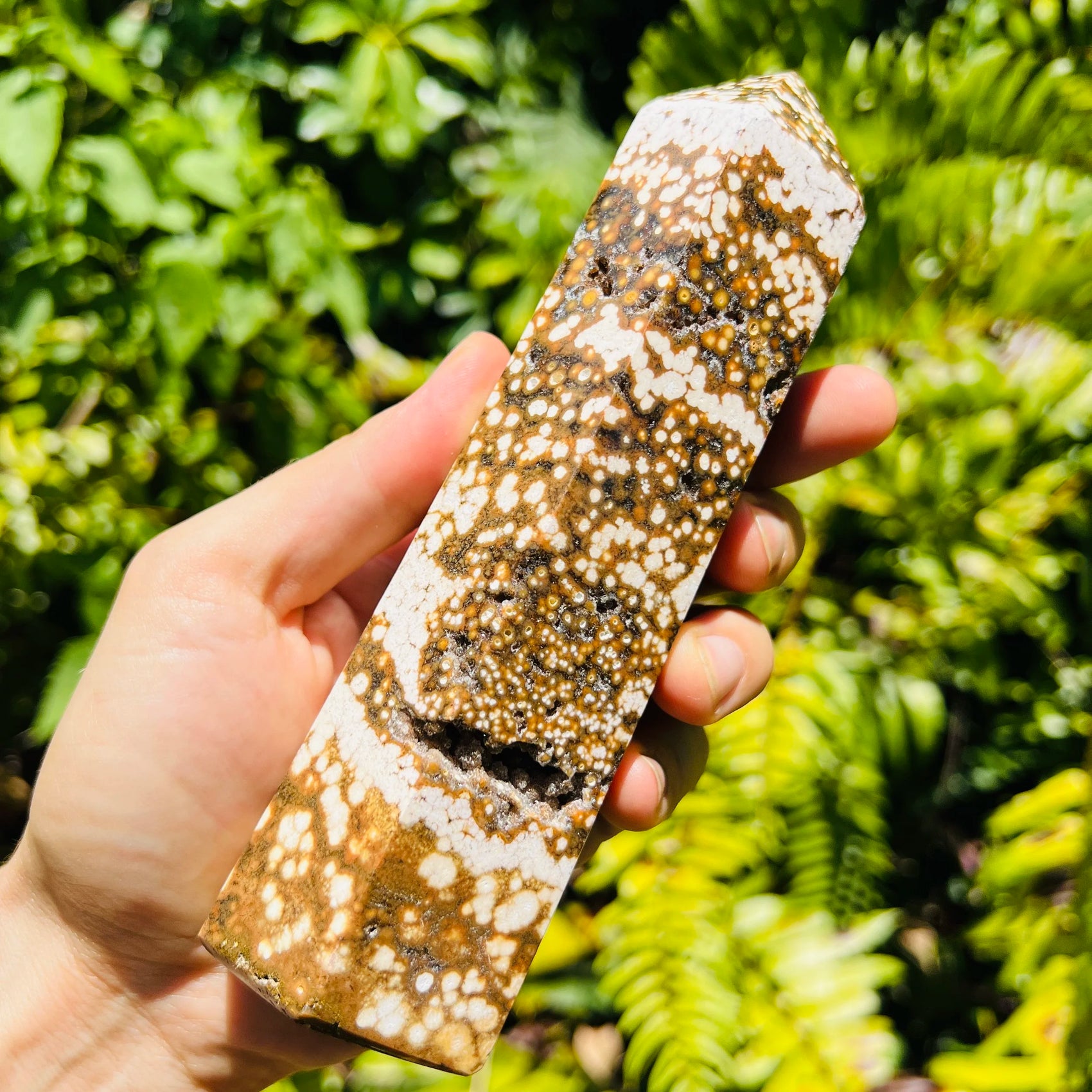 Back view of Grade AA Ocean Jasper point showing natural surface
