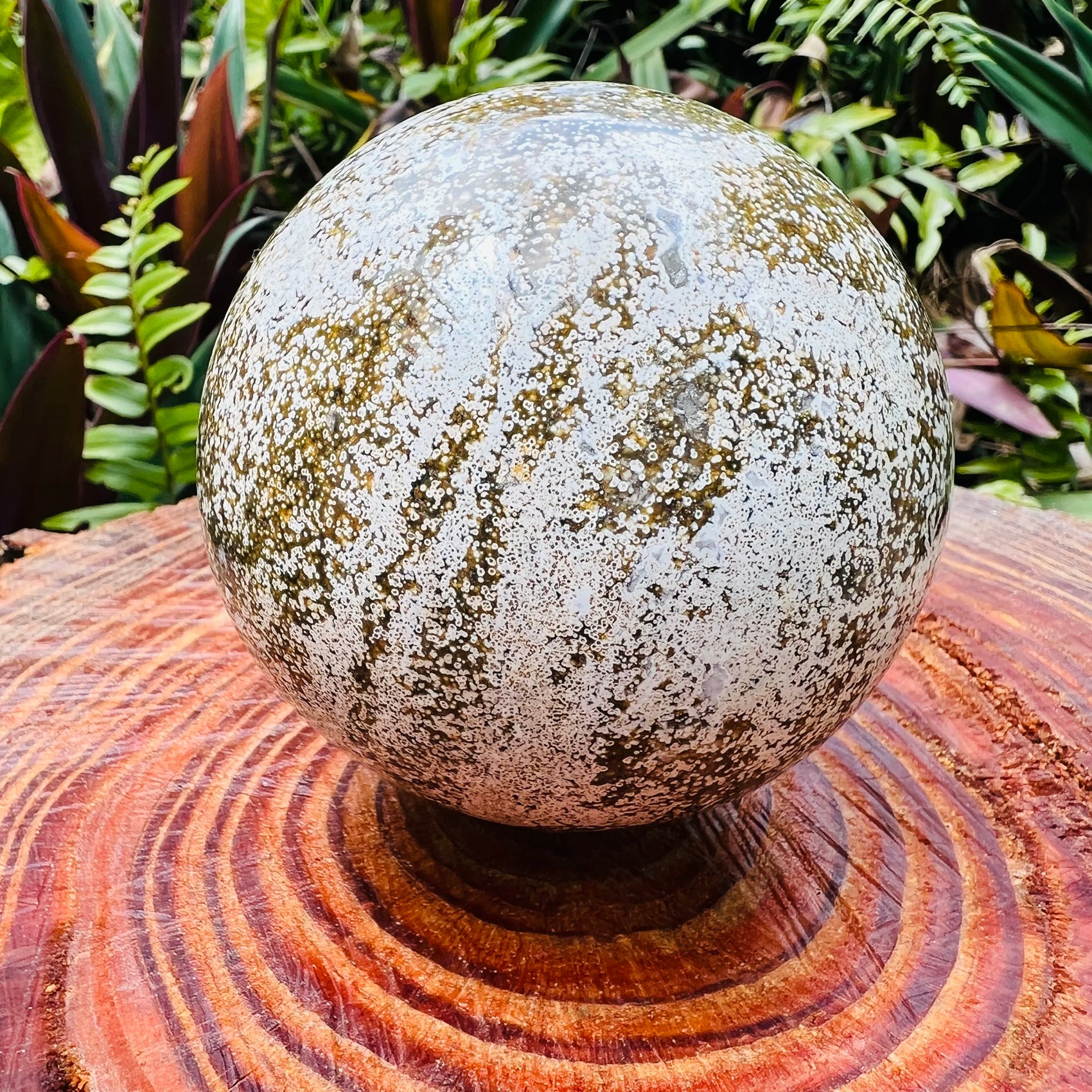 Back view of Grade AA Ocean Jasper sphere showing natural surface