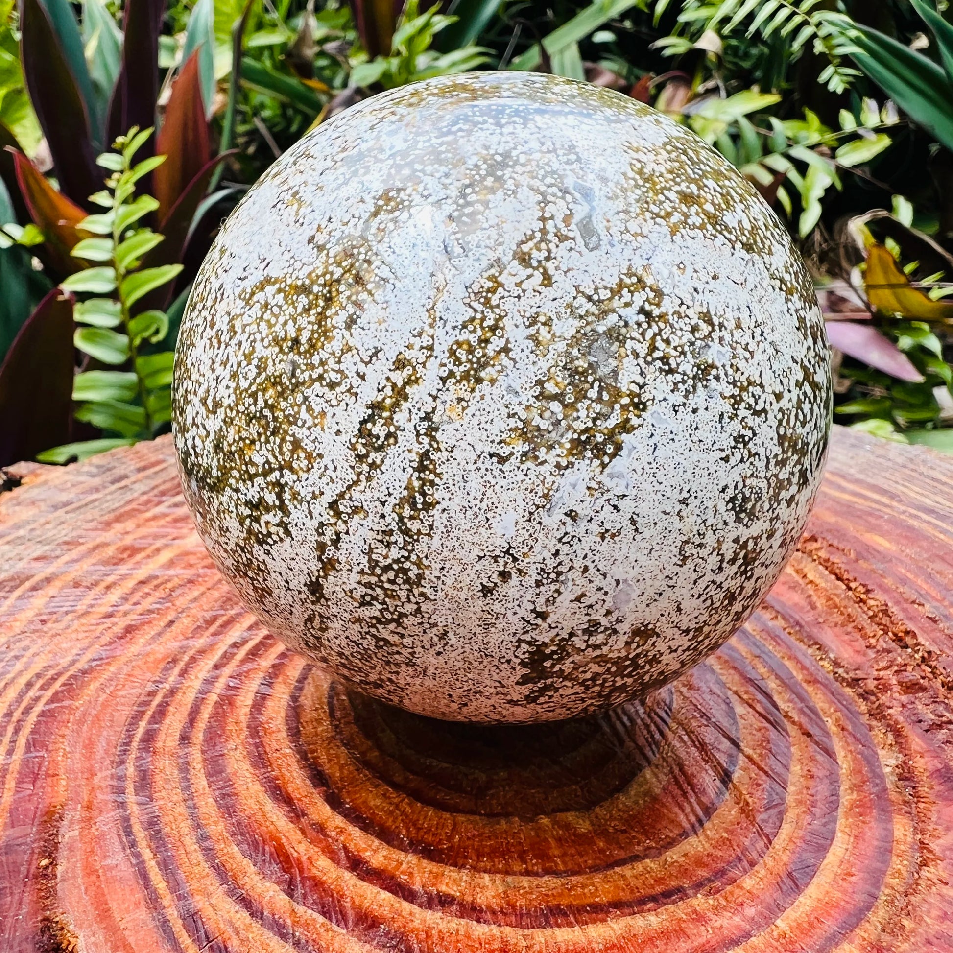 Back view of Grade AA Ocean Jasper sphere showing natural surface