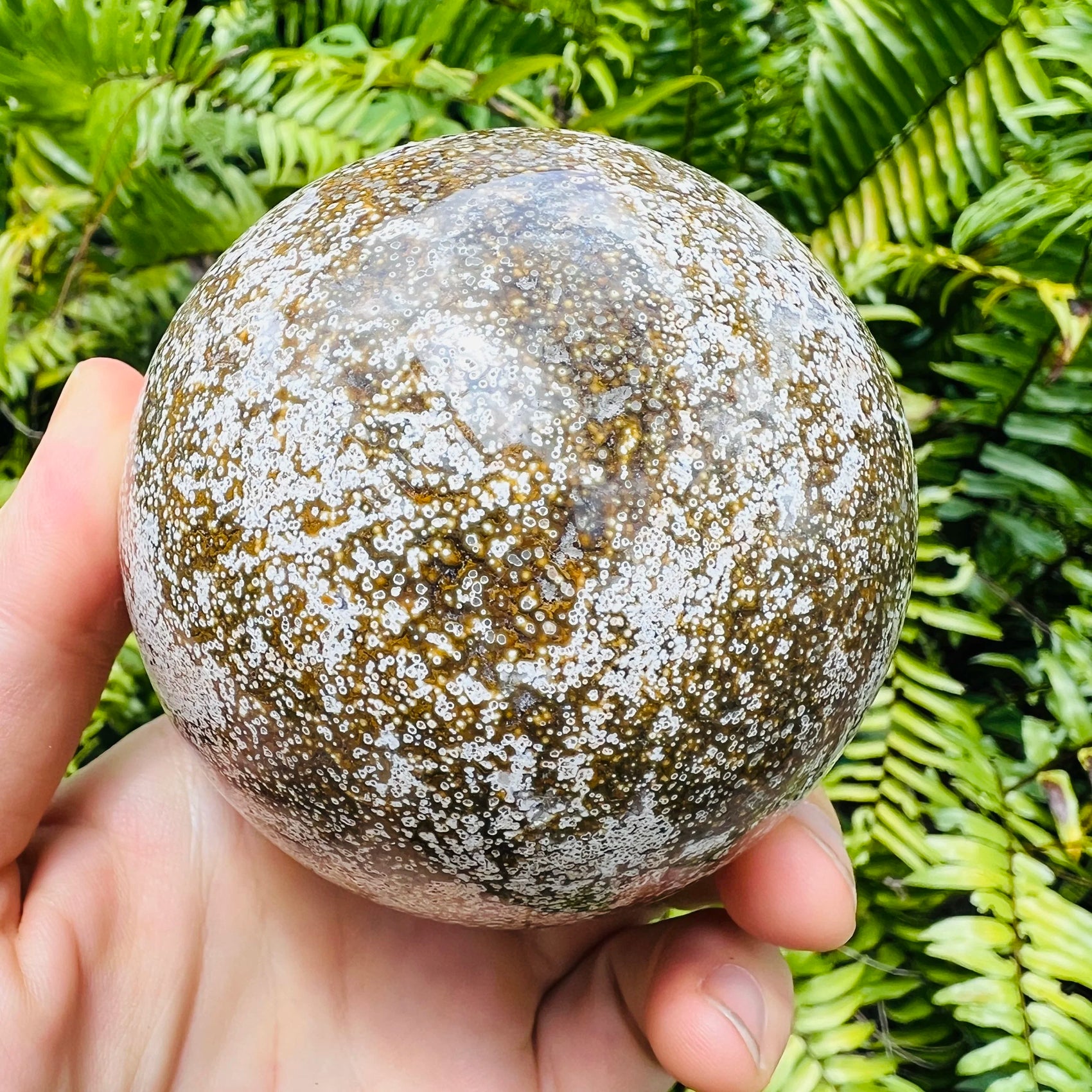 Top-down shot of Grade AA Ocean Jasper polished sphere, Madagascar-sourced.