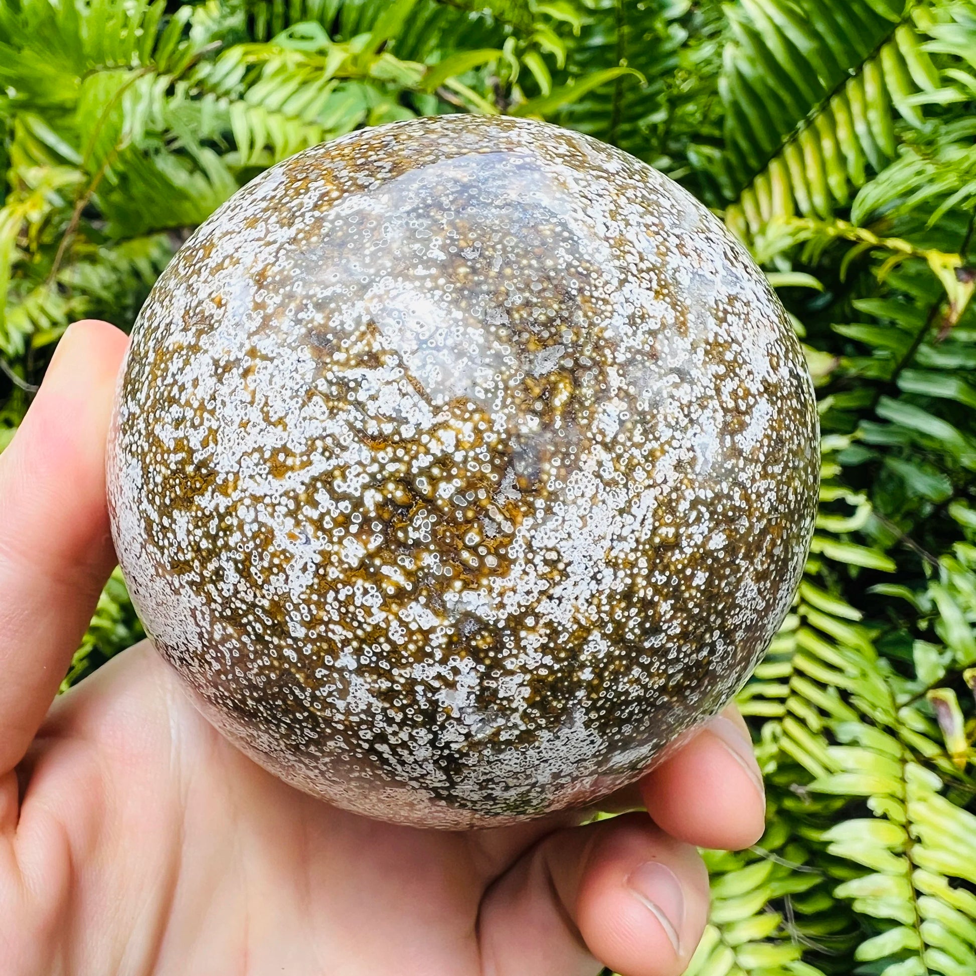 Top-down shot of Grade AA Ocean Jasper polished sphere, Madagascar-sourced.