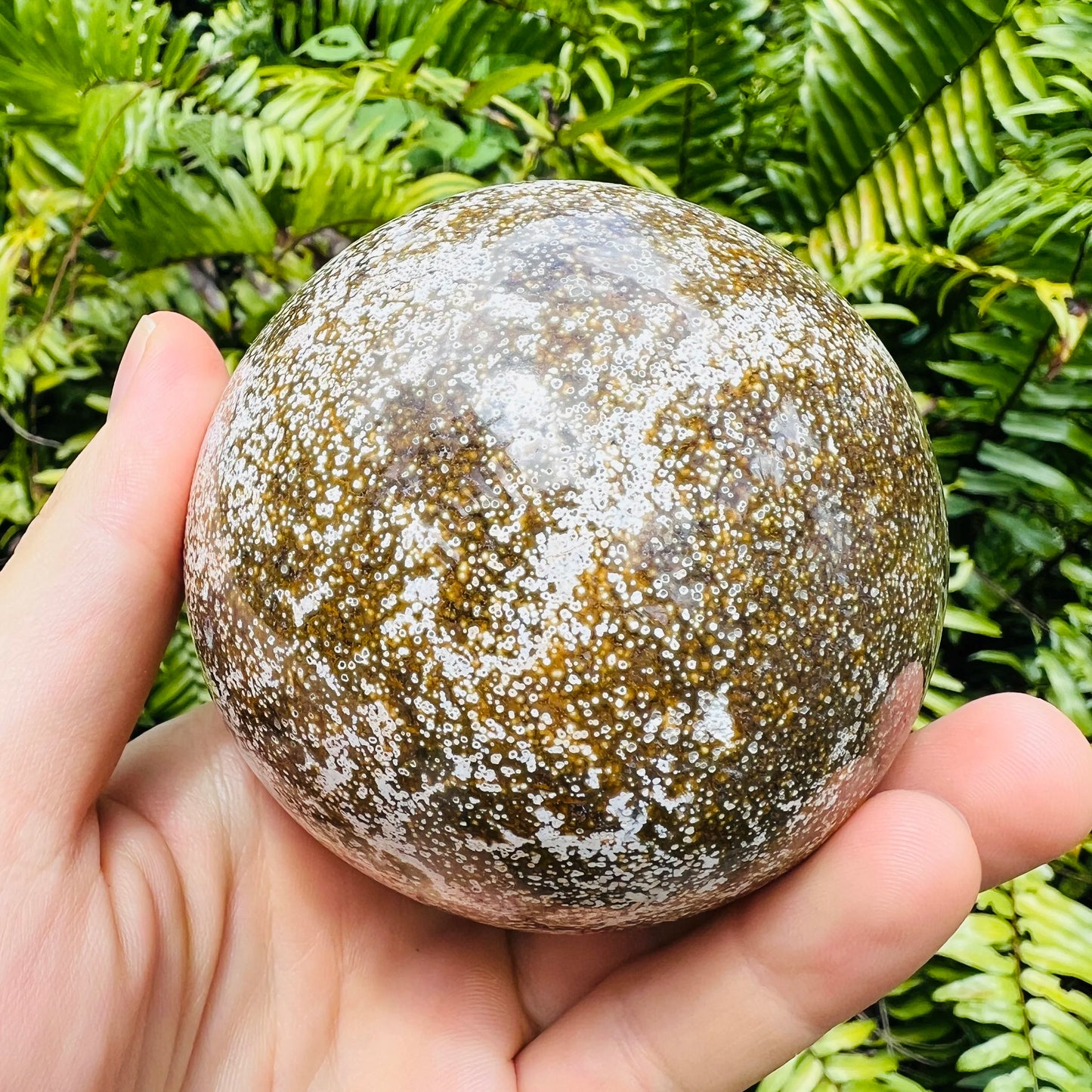 Rear view of Ocean Jasper polished sphere, showing characteristic color.