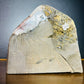 Back view of Grade AA Amethyst geode showing natural surface