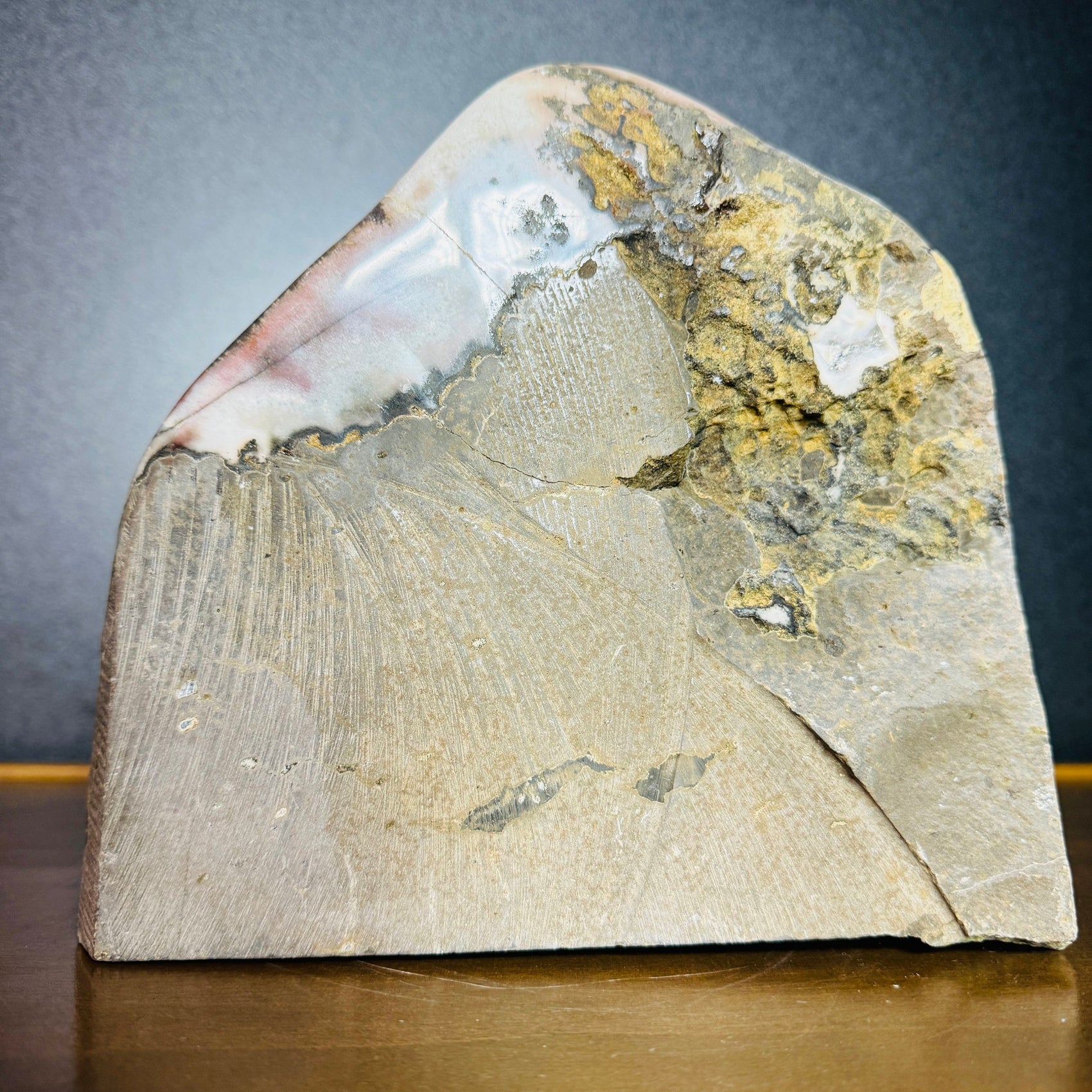 Back view of Grade AA Amethyst geode showing natural surface