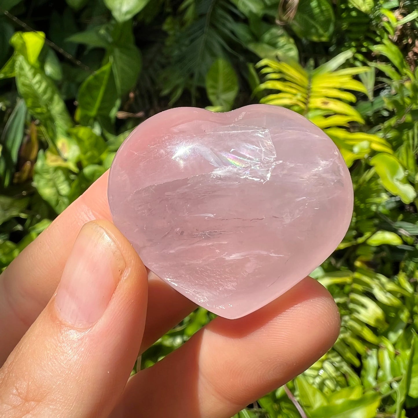 Held in hand, a Rose Quartz polished heart for Love.