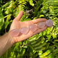 Detail shot of Grade AA Rose Quartz heart under natural light