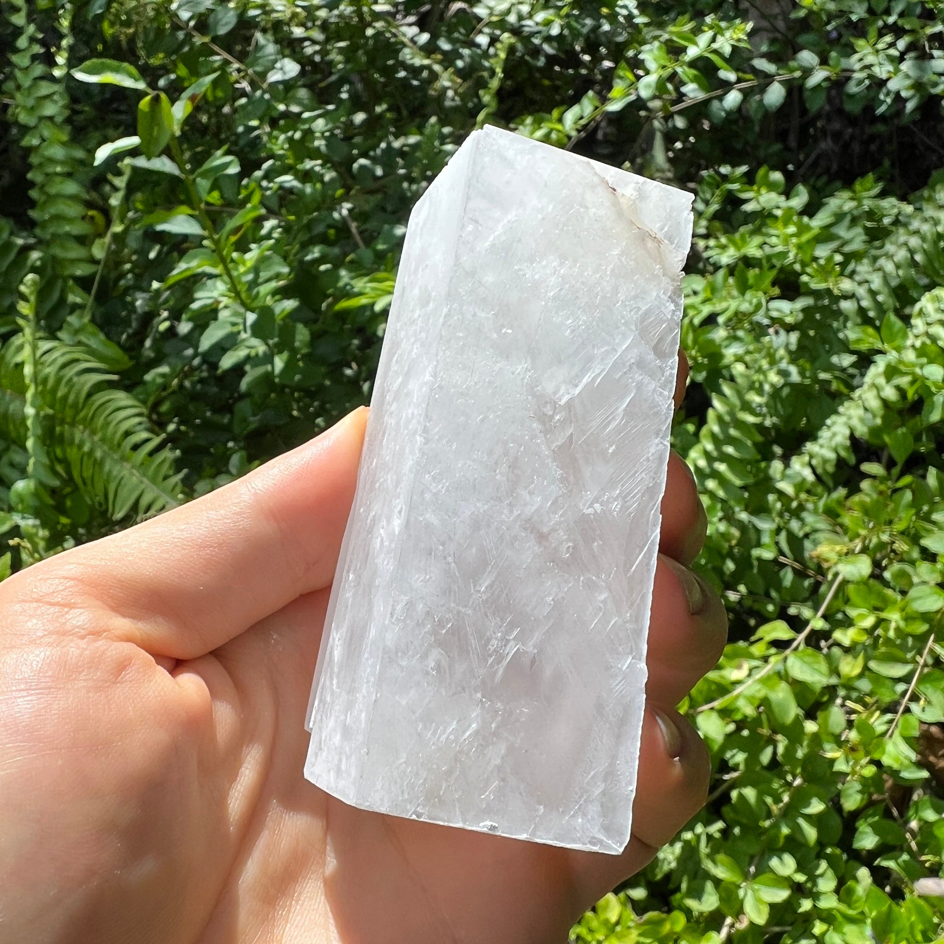Alternate angle of Grade AAA Selenite raw crystals showing overall shape