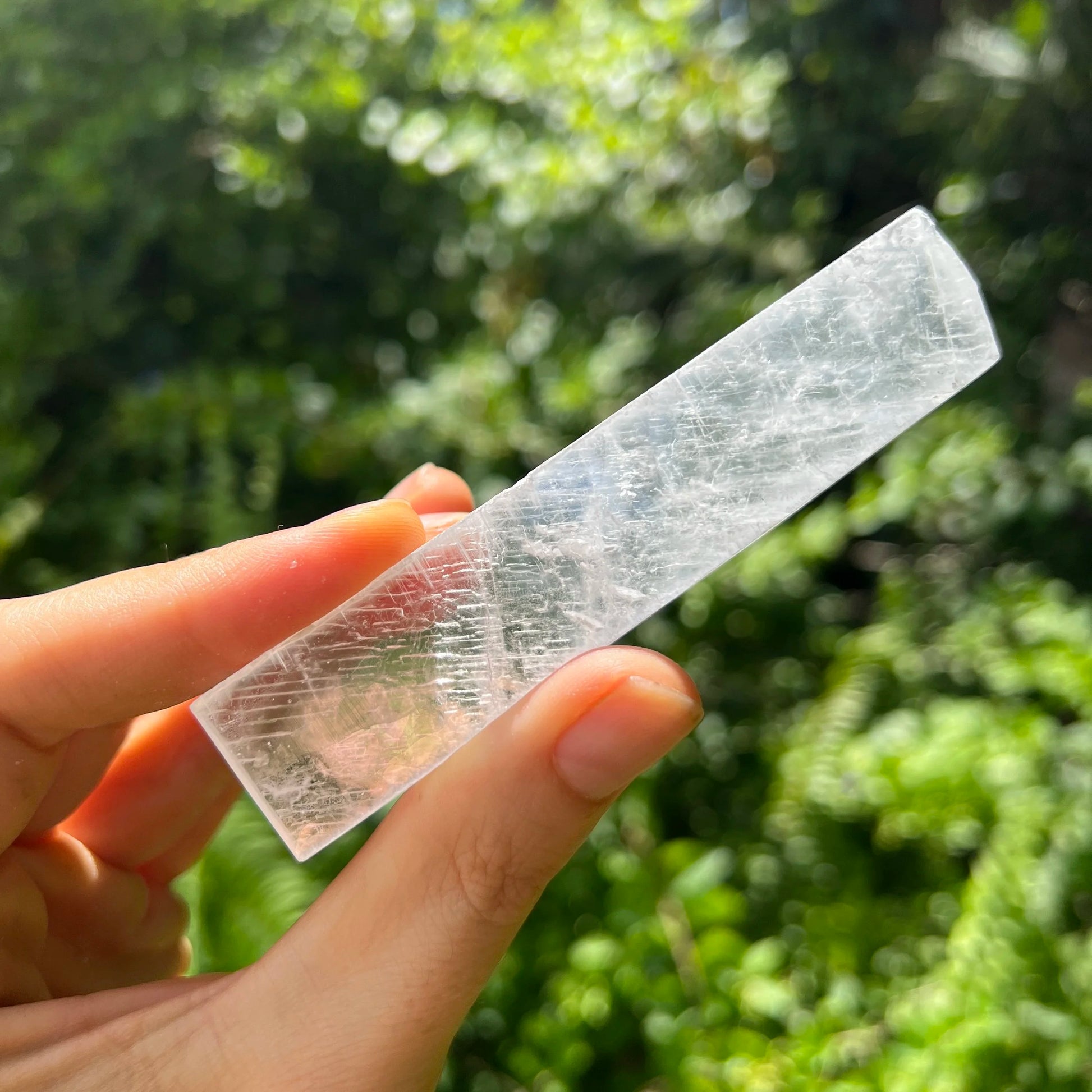 Grade aaa selenite raw crystals held in hand for size reference