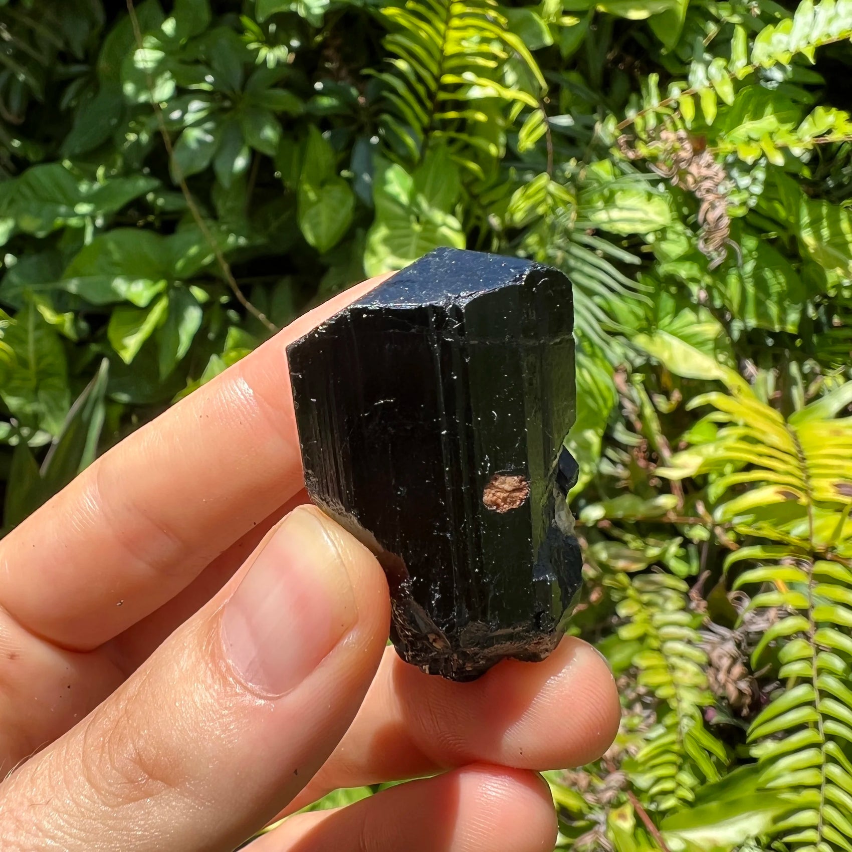 Handheld Black Tourmaline raw crystal from Zimbabwe for meditation, Stress Relief and Cleansing