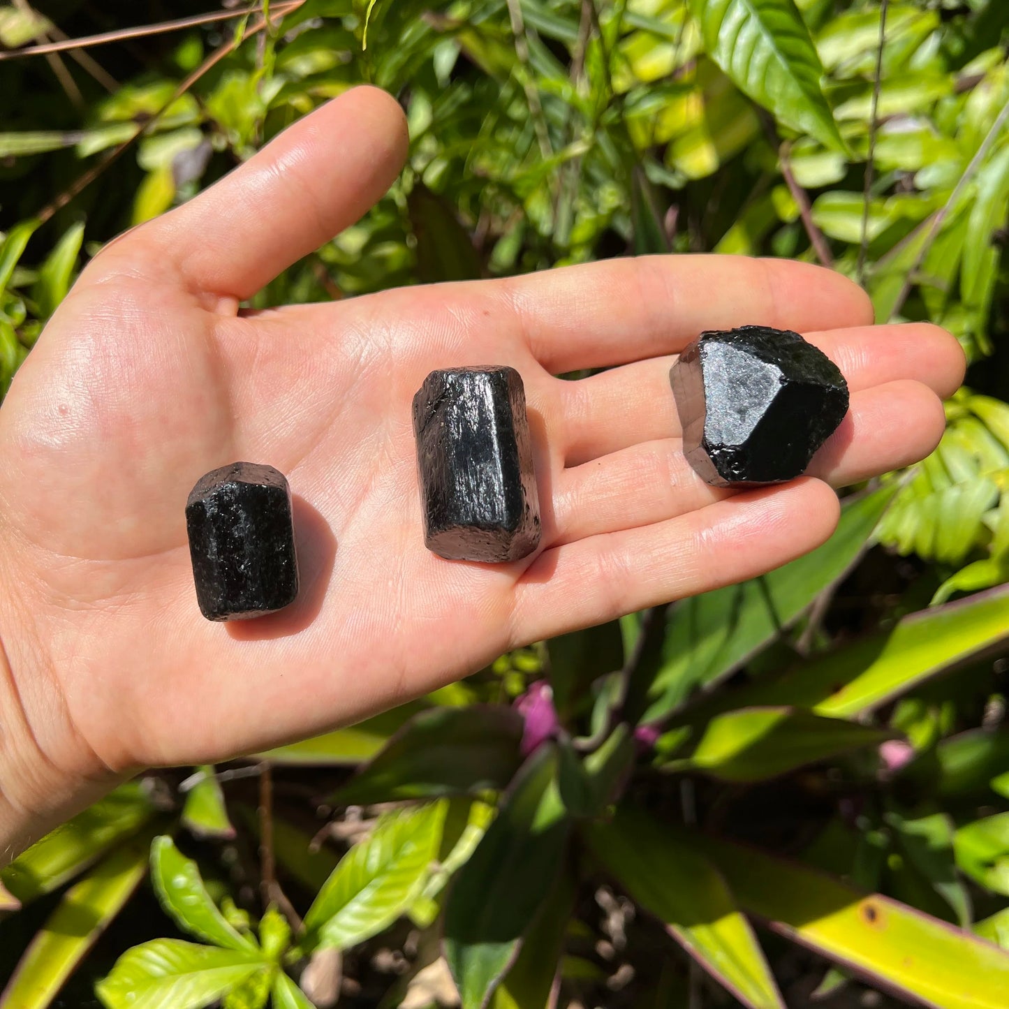 Full profile of Grade A Black Tourmaline raw ready to ship from Beyond Bohemian