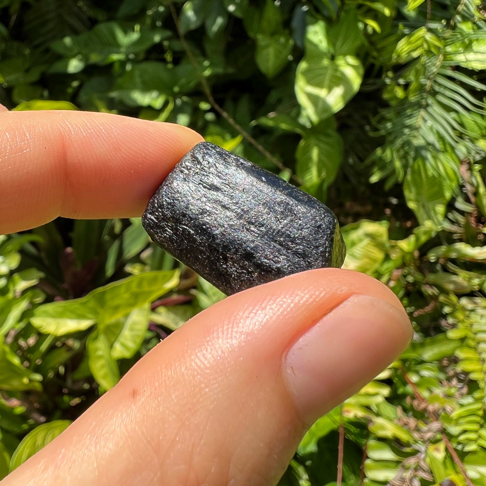 Close-up of Black Tourmaline raw crystal from Zimbabwe, soothing wellness stone for Stress Relief