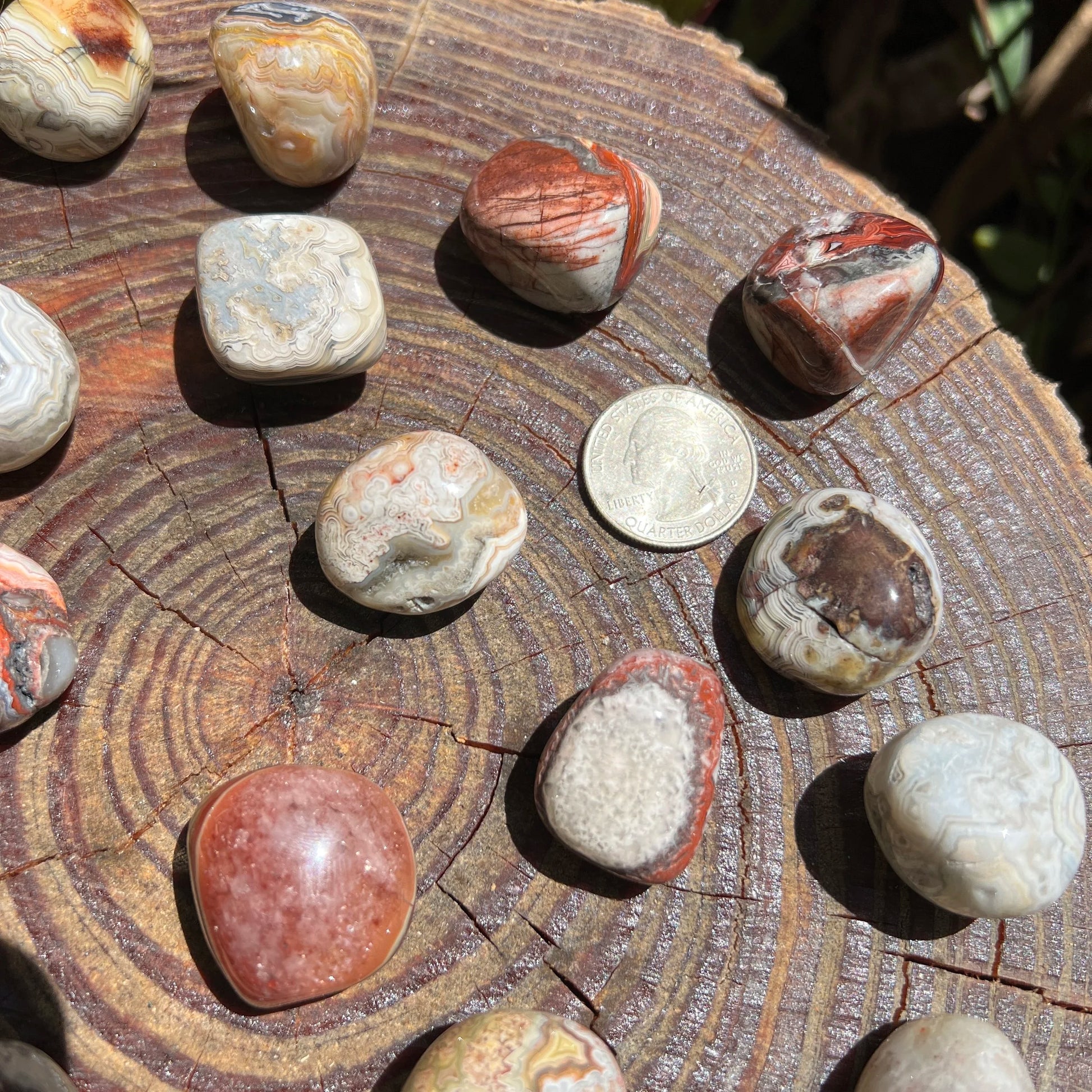 Detail shot of Grade AA Crazy Lace Agate tumbled stone under natural light