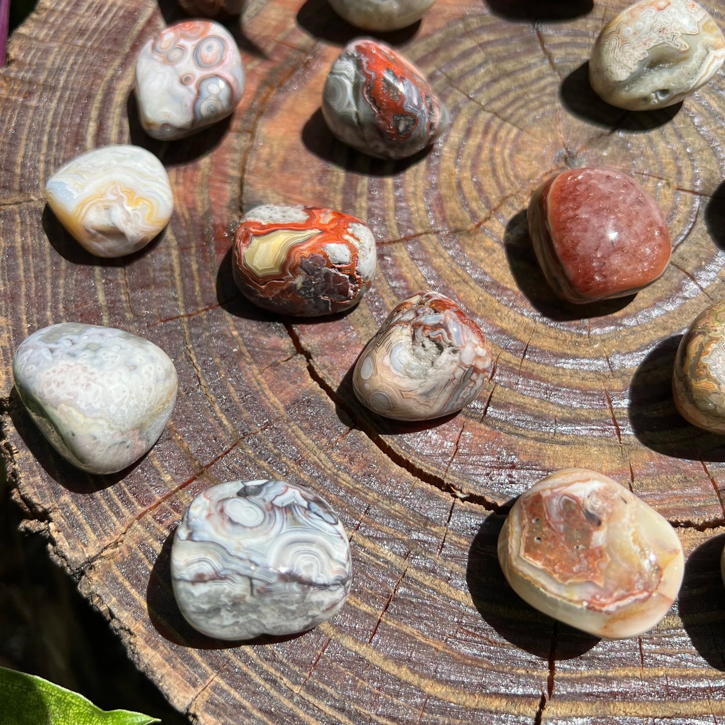 Full profile of Grade AA Crazy Lace Agate tumbled stone ready to ship from Beyond Bohemian