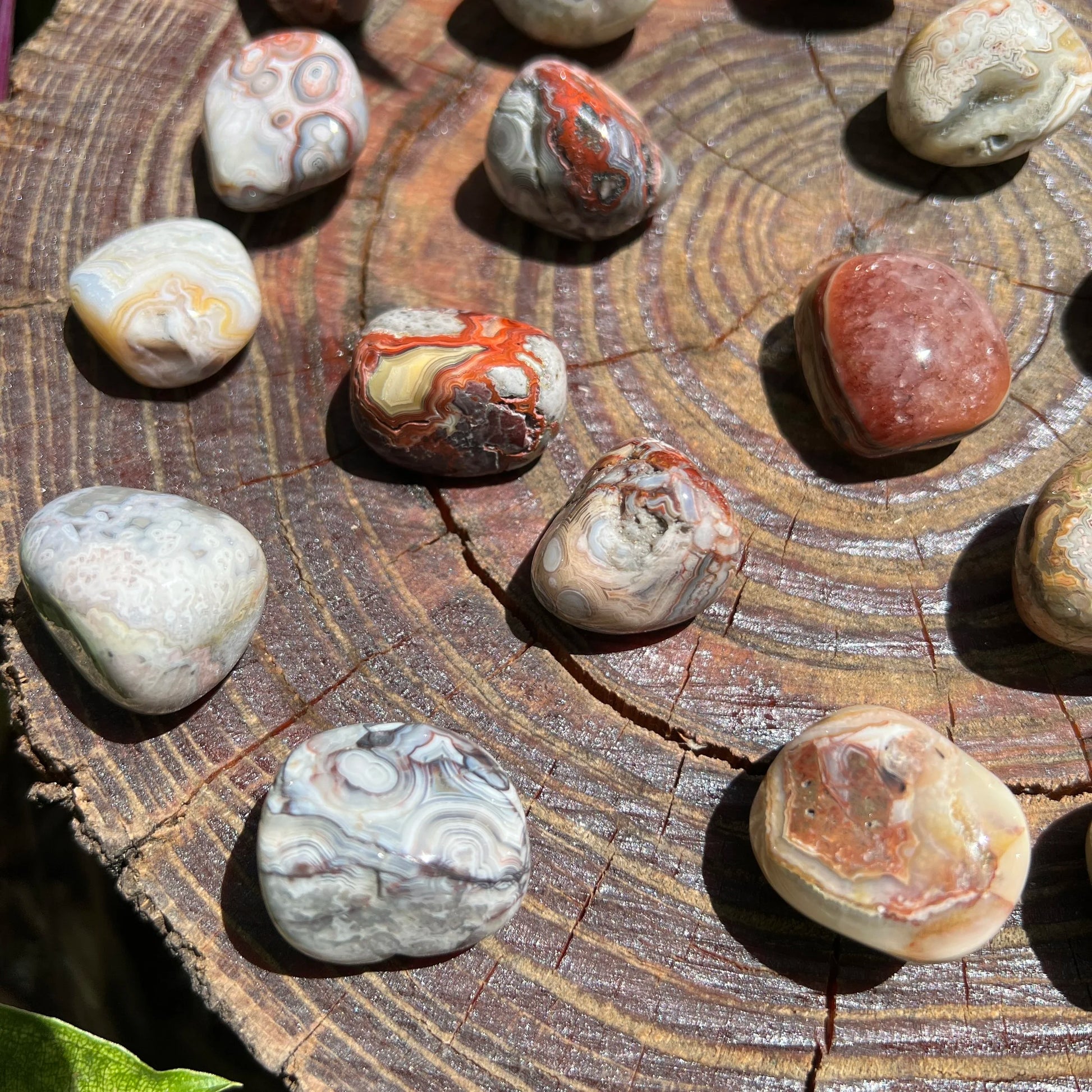 Full profile of Grade AA Crazy Lace Agate tumbled stone ready to ship from Beyond Bohemian