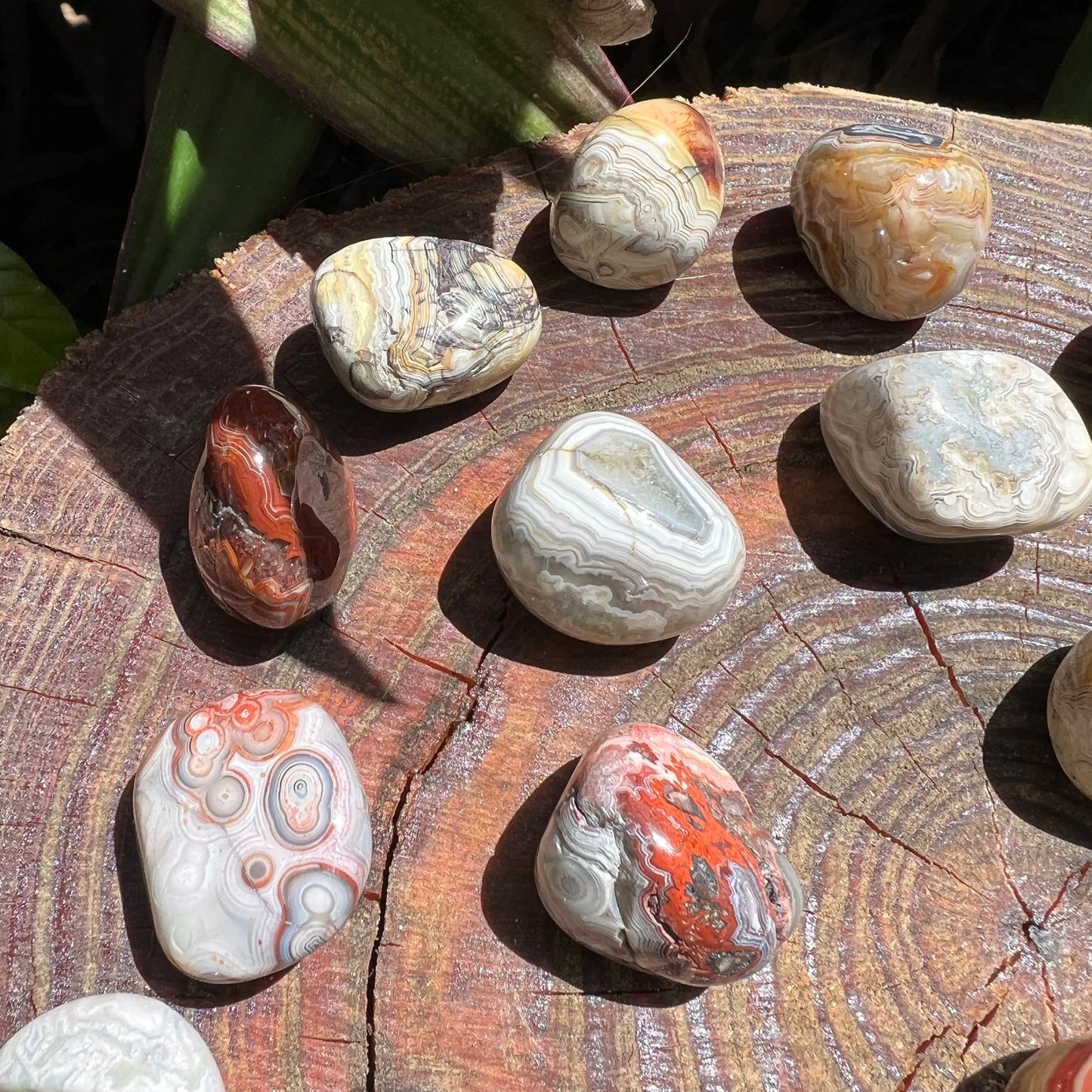 Full profile of Grade AA Crazy Lace Agate tumbled stone ready to ship from Beyond Bohemian
