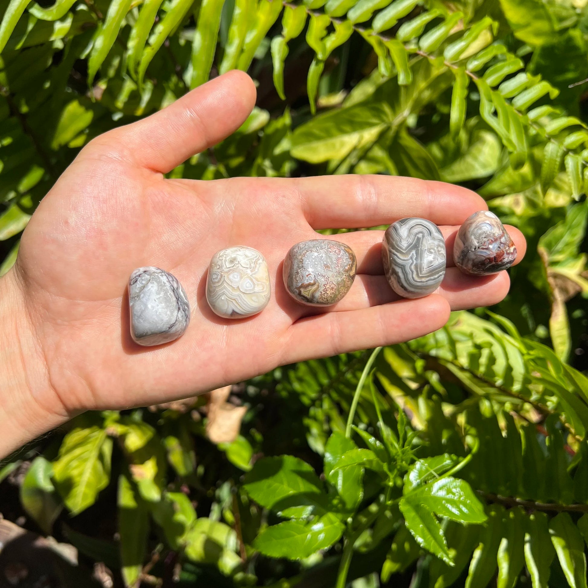Grade aa crazy lace agate tumbled stone held in hand for size reference