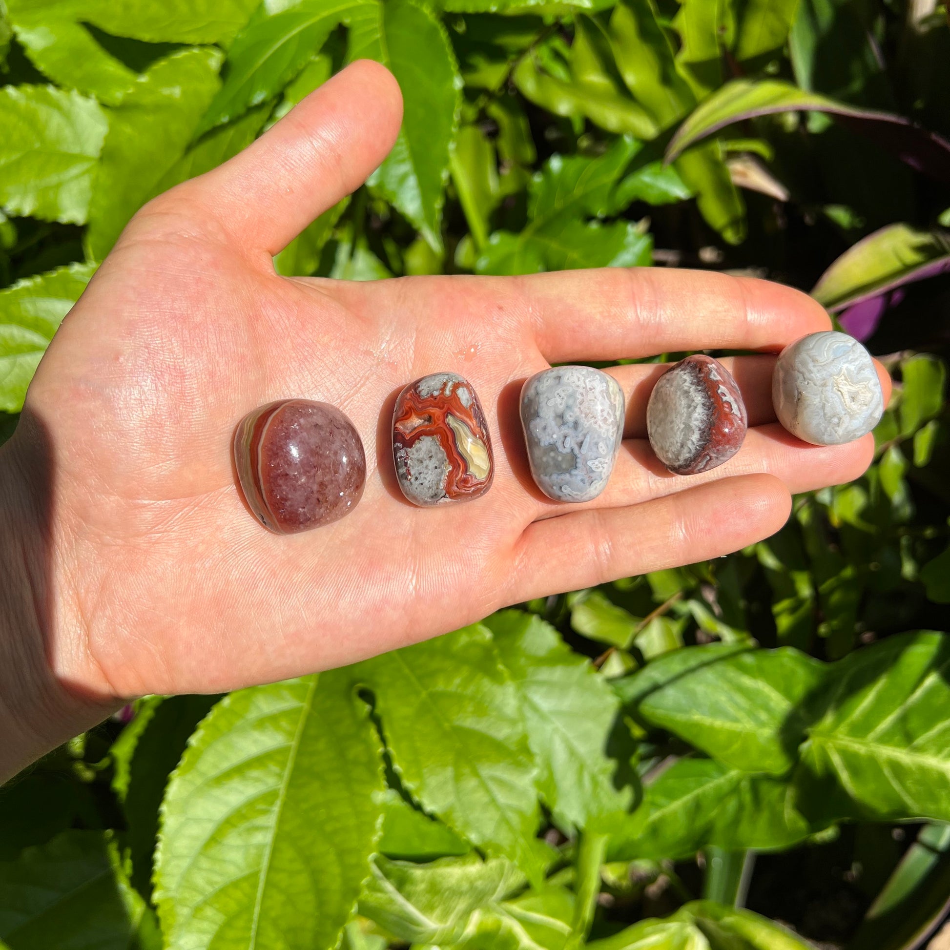 Alternate angle of Grade AA Crazy Lace Agate tumbled stone showing overall shape