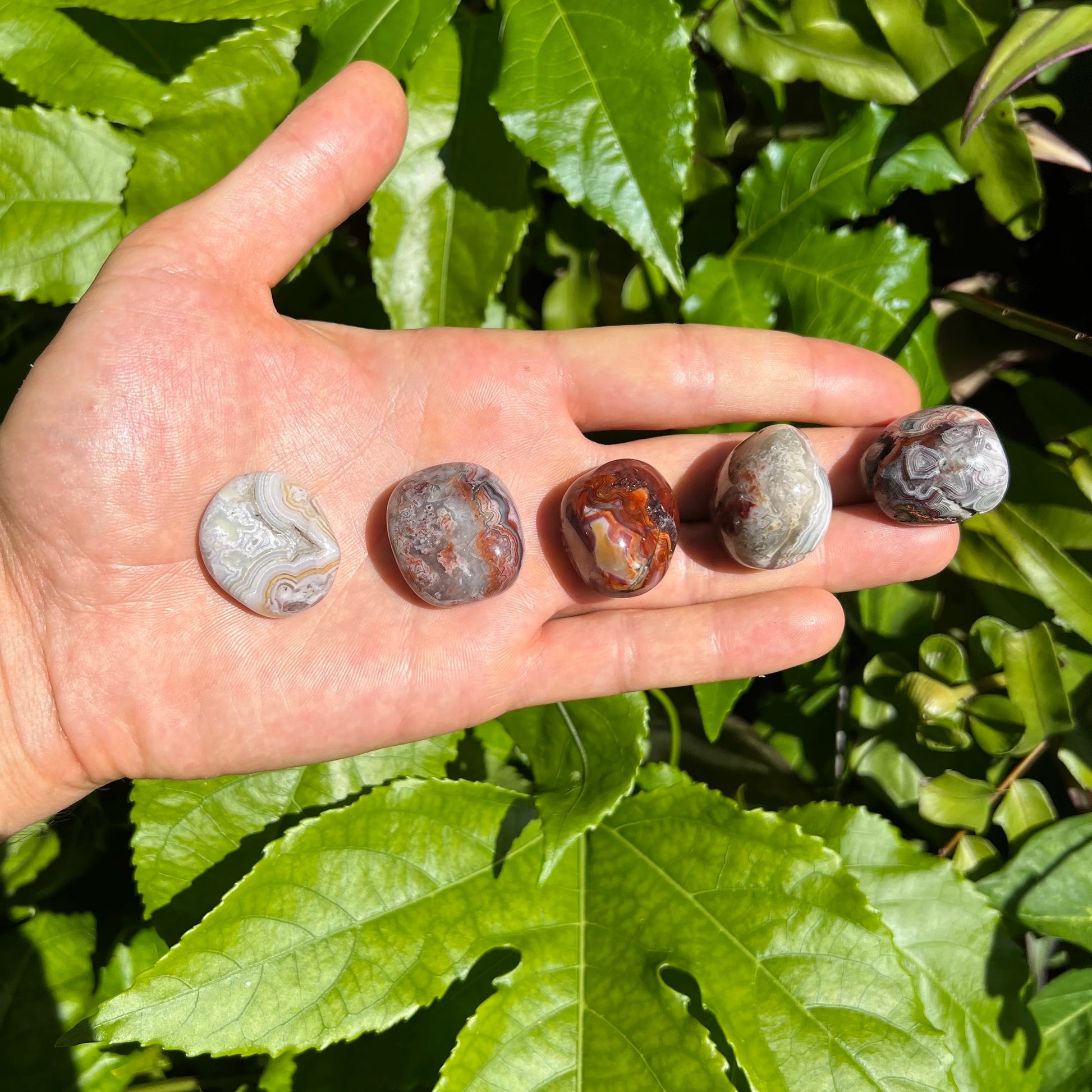 Top view of Grade AA Crazy Lace Agate tumbled stone, sourced from Chihuahua, Mexico