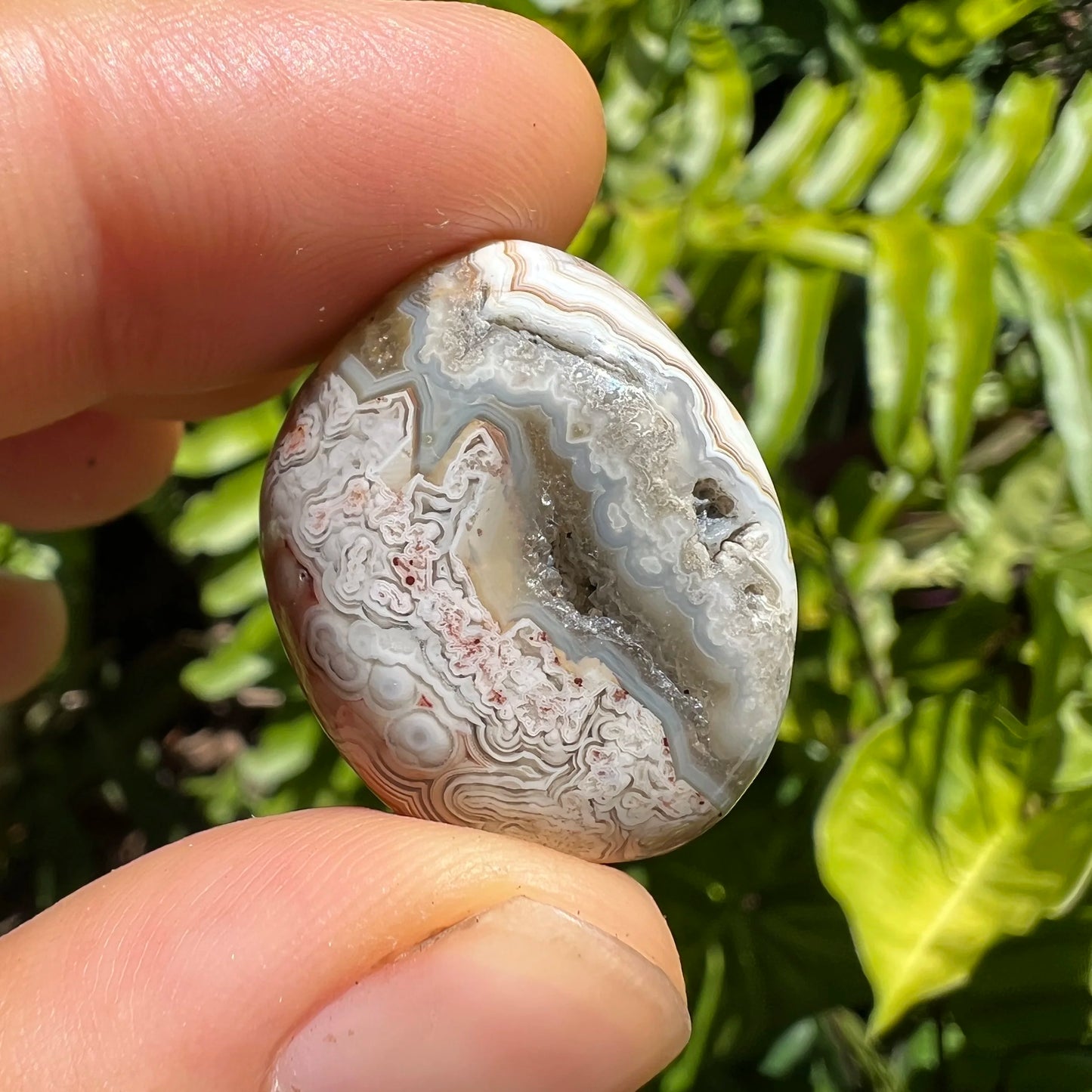 Full profile of Grade AA Crazy Lace Agate tumbled stone ready to ship from Beyond Bohemian