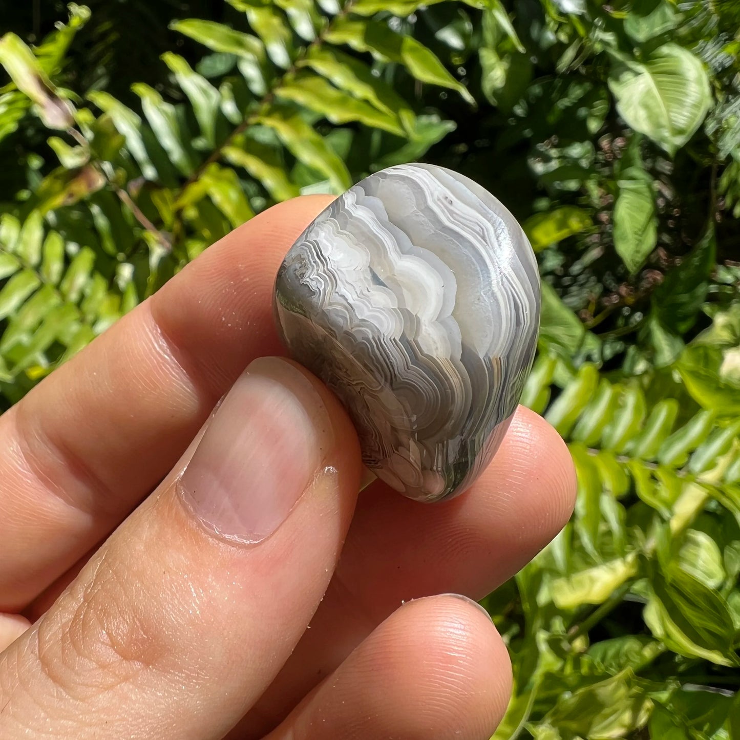 Full profile of Grade AA Crazy Lace Agate tumbled stone ready to ship from Beyond Bohemian