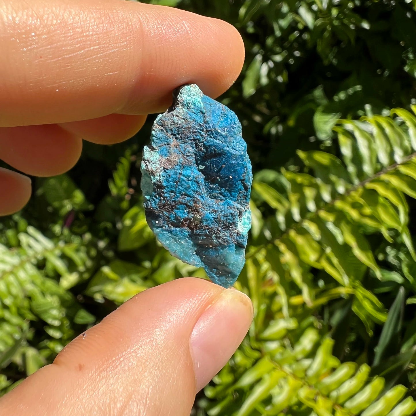 Back view of Grade A Chrysocolla raw showing natural surface