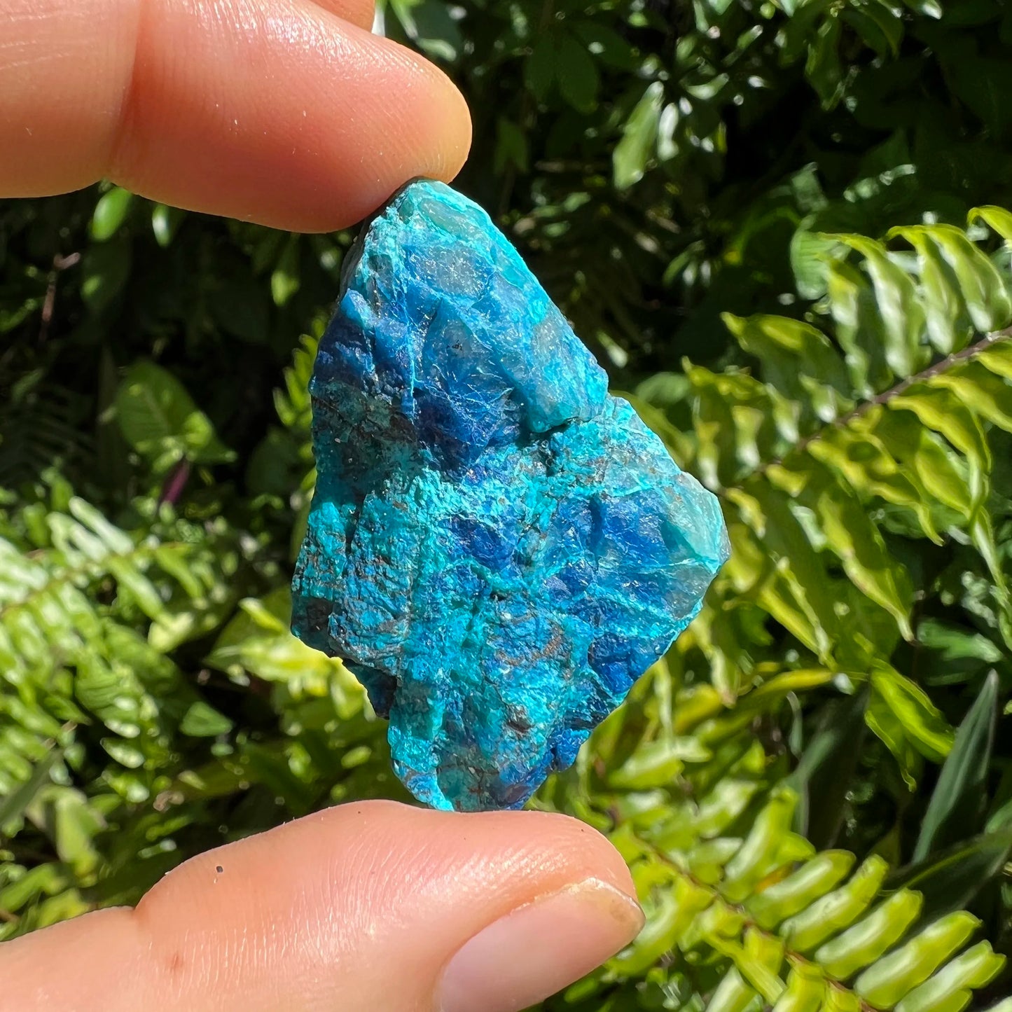 Full profile of Grade A Chrysocolla raw ready to ship from Beyond Bohemian