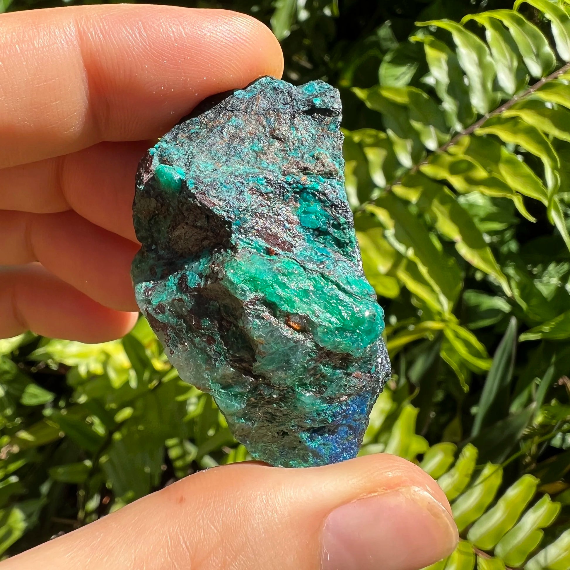 Detail shot of Grade A Chrysocolla raw under natural light