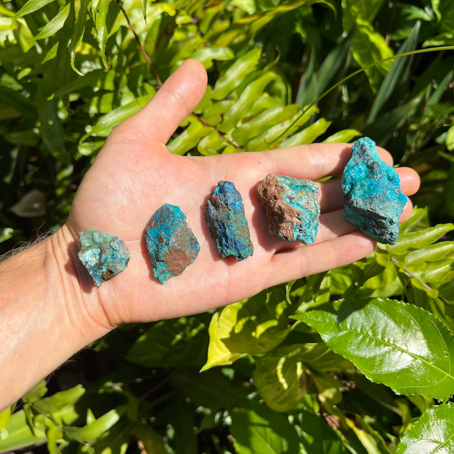 Full profile of Grade A Chrysocolla raw ready to ship from Beyond Bohemian