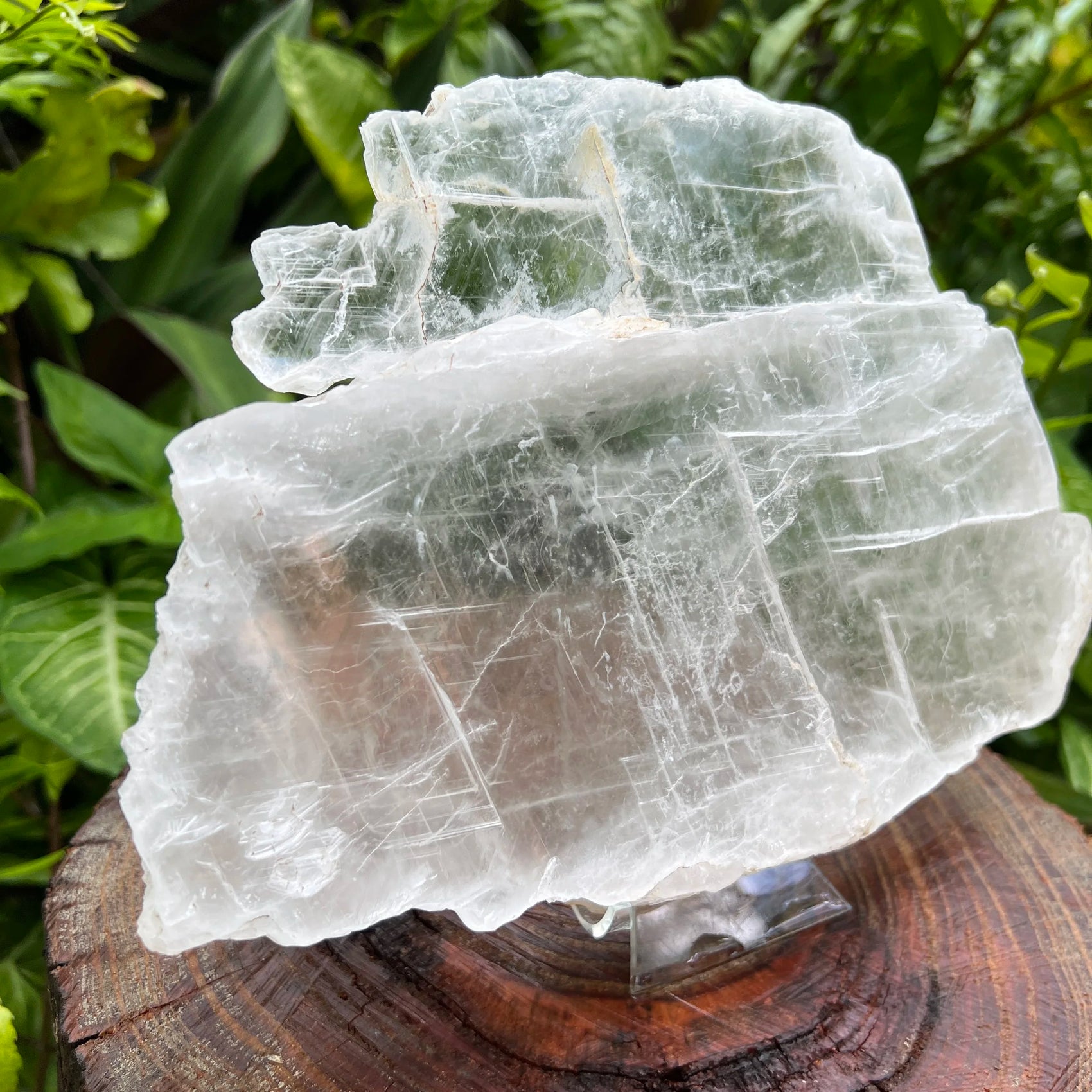 Detail shot of Grade AAA Selenite slab under natural light
