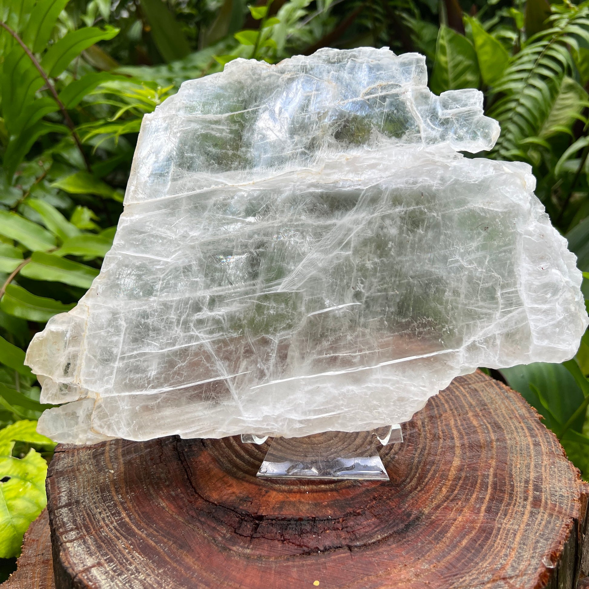 Surface detail of Selenite specimen, showing natural texture, from New Mexico, USA.