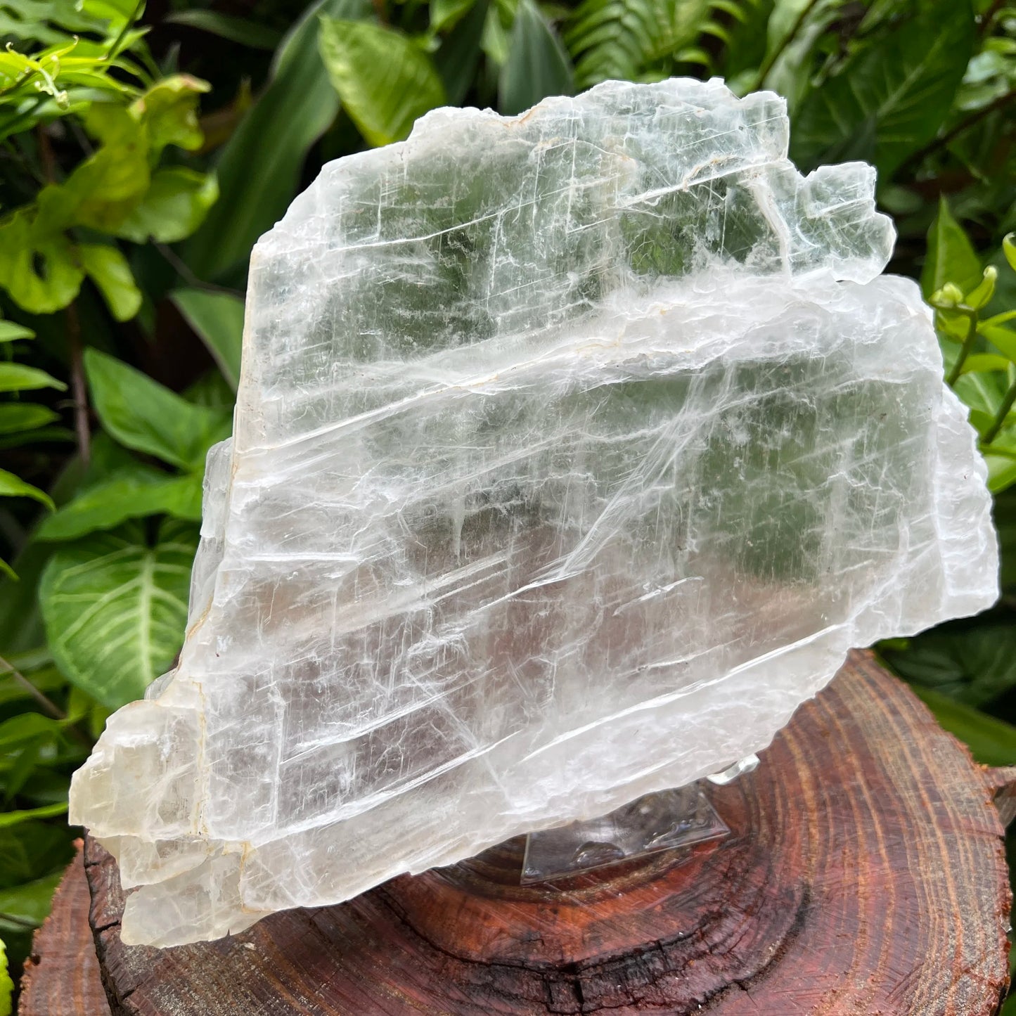 Overhead view of Selenite specimen, showing characteristic color.
