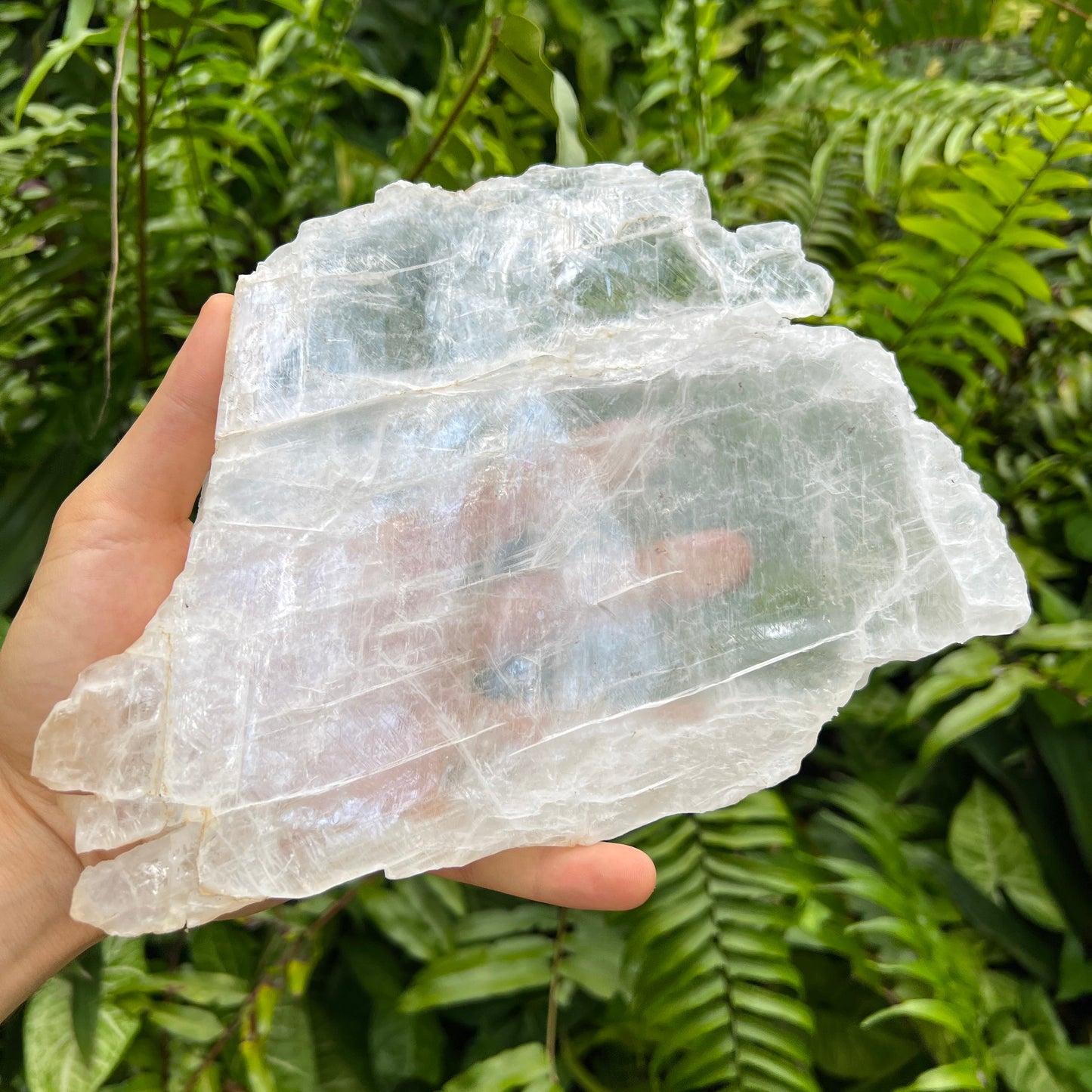 Rear view of Selenite specimen, from New Mexico, USA, associated with Cleansing.