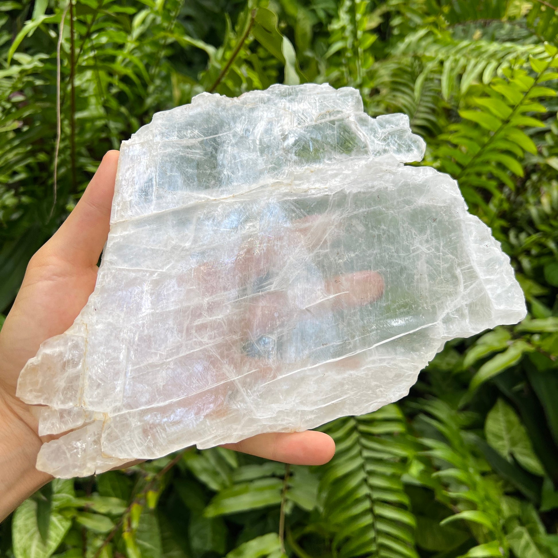 Rear view of Selenite specimen, from New Mexico, USA, associated with Cleansing.