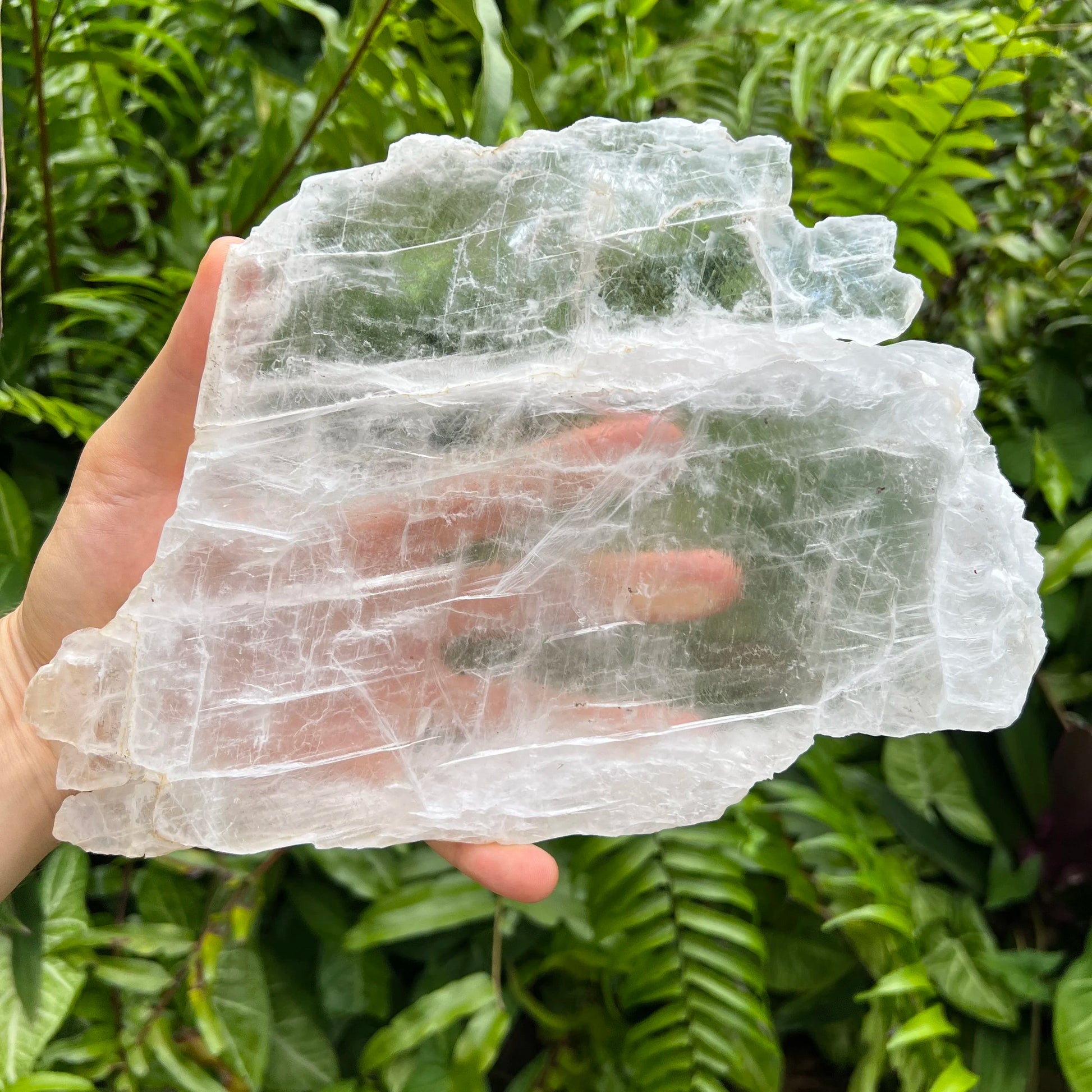 Scale reference of a Selenite specimen kept near for Cleansing, from New Mexico, USA.