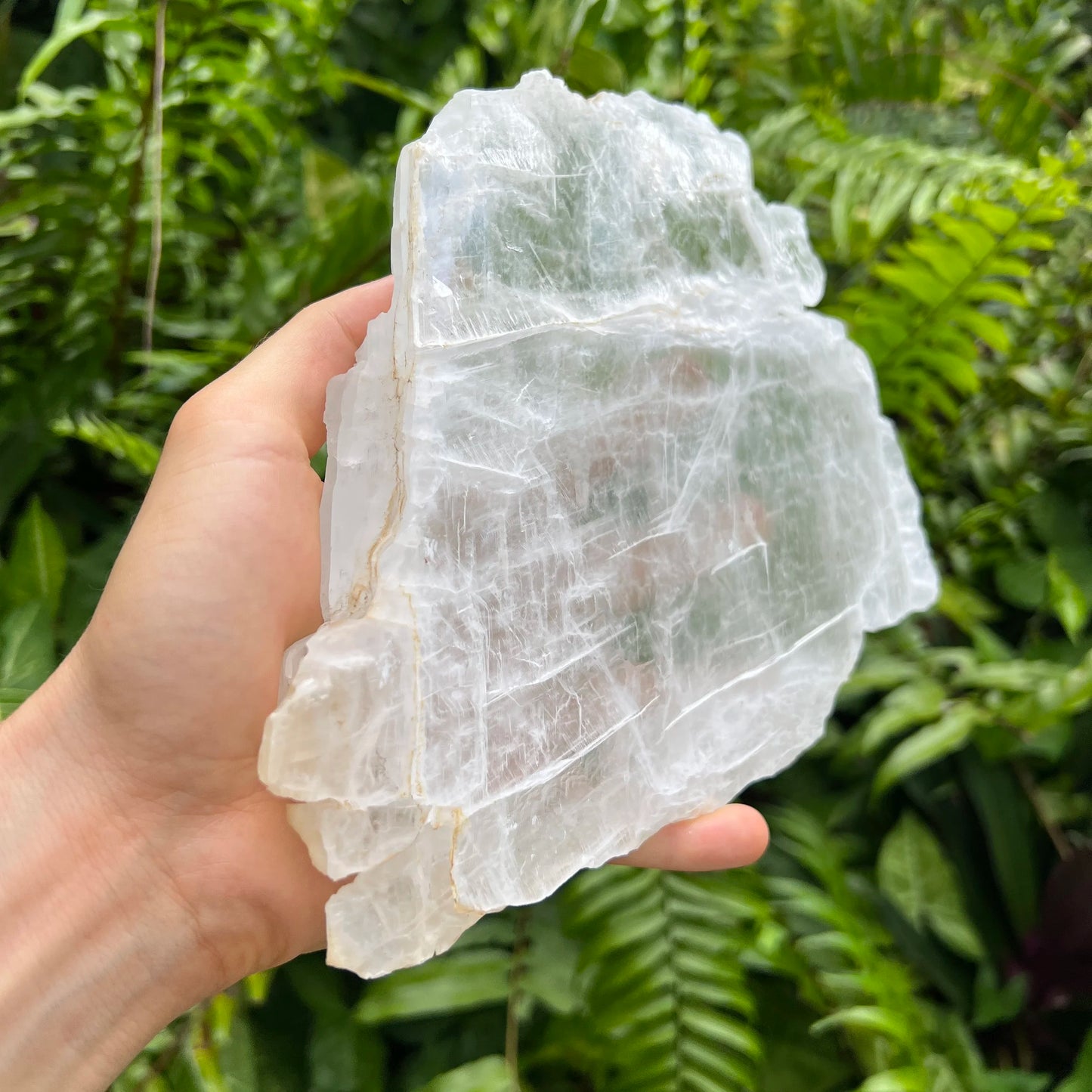 Display context of Selenite specimen, from New Mexico, Usa, shown in its everyday setting.