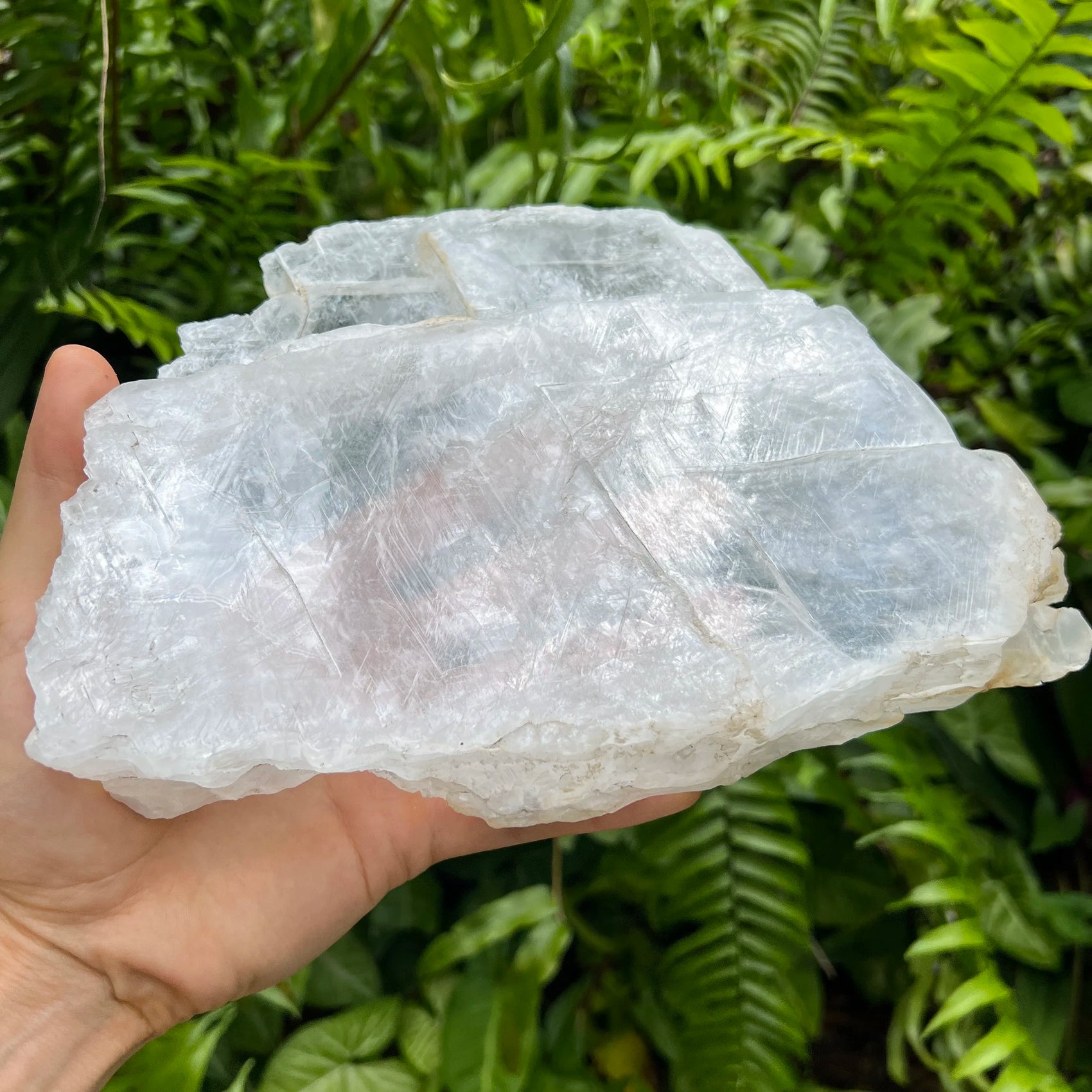 Back view of Grade AAA Selenite slab showing natural surface