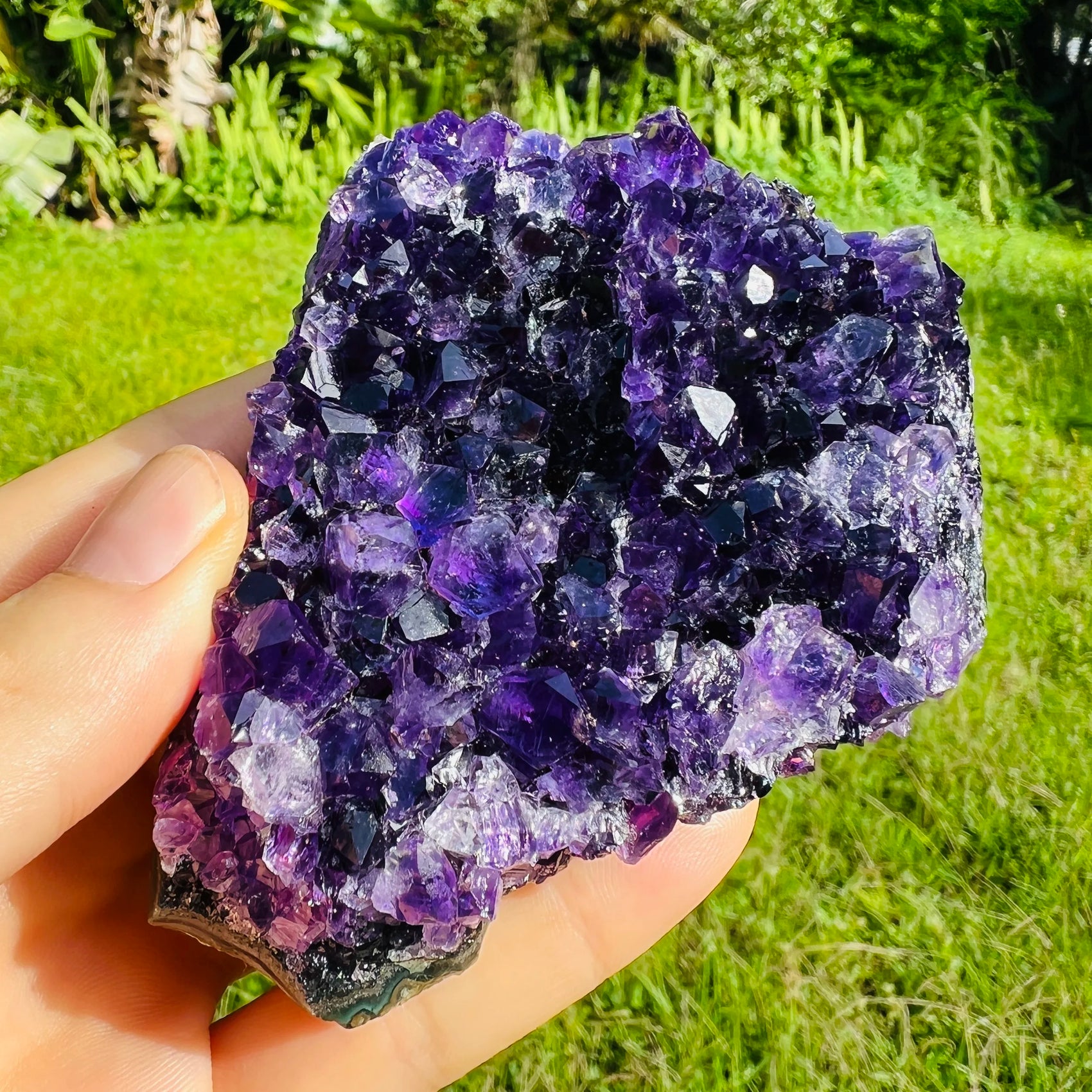 Underside detail of Amethyst specimen, showing natural color depth, often kept for Stress Relief.