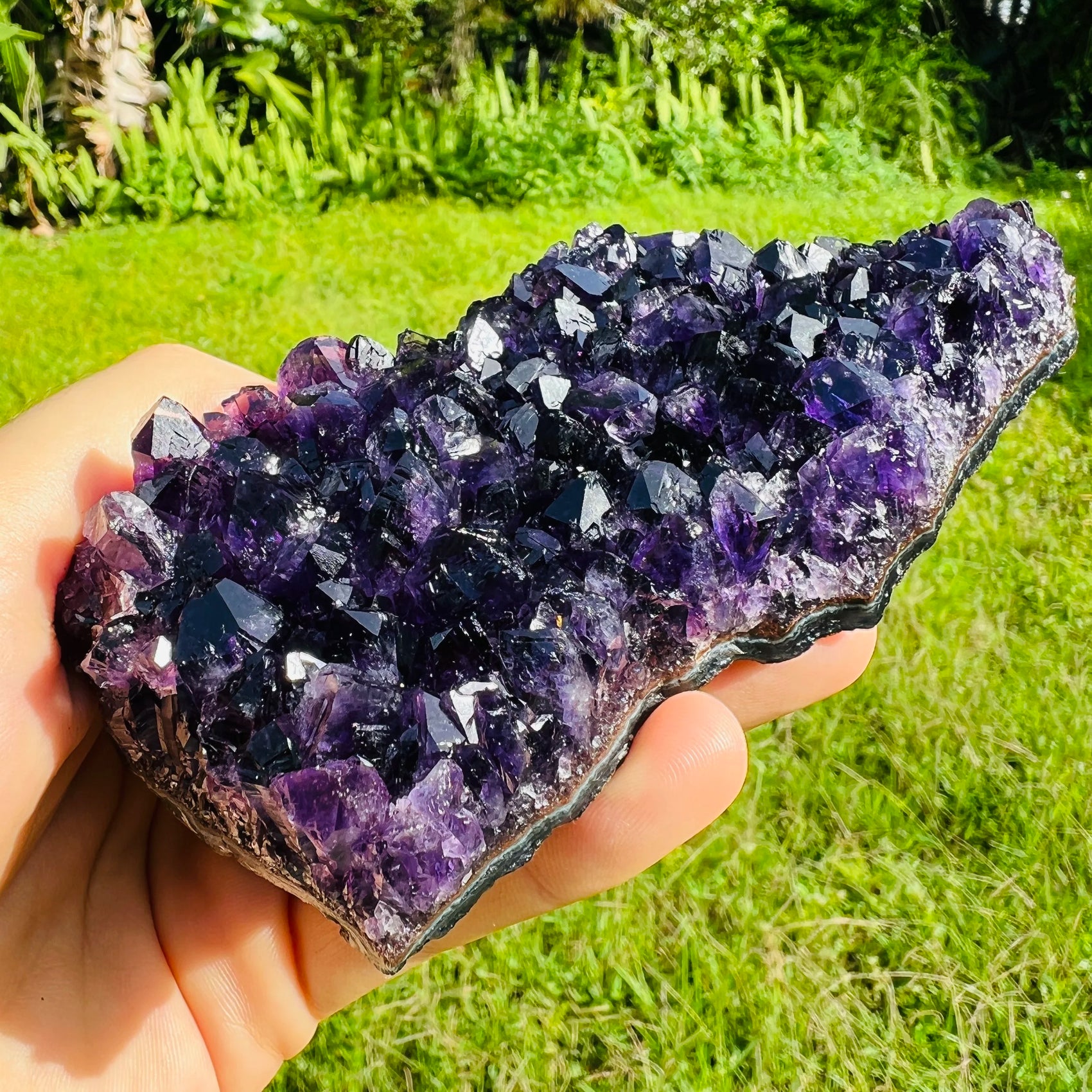 Size comparison with a Amethyst specimen held against natural backdrop, from Uruguay.