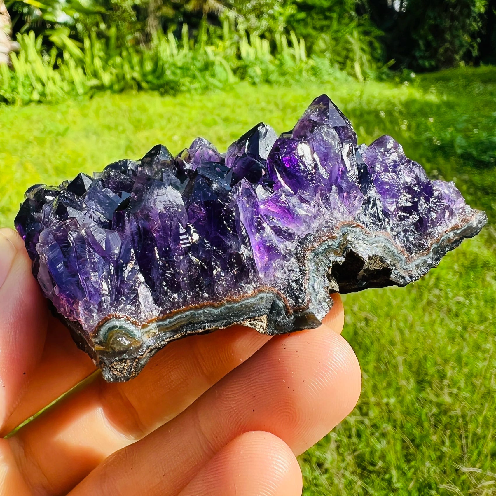 Grade aaa amethyst cluster held in hand for size reference