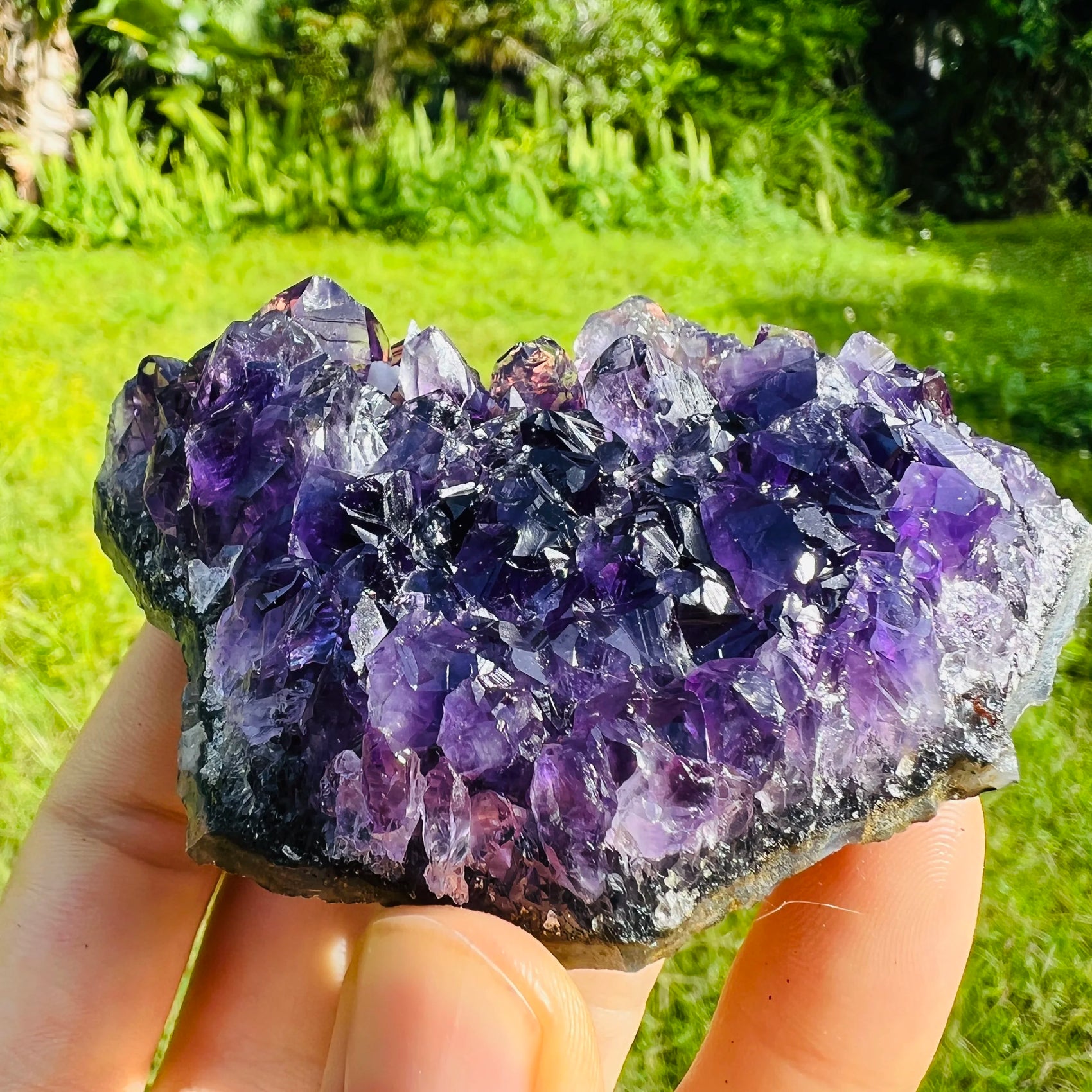 Base detail of Grade AAA Amethyst cluster