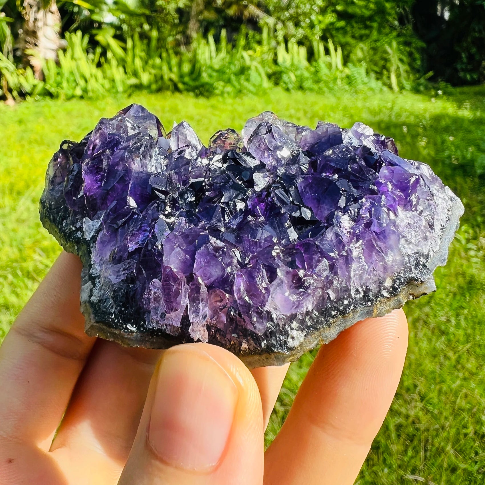 Detail shot of Grade AAA Amethyst cluster under natural light