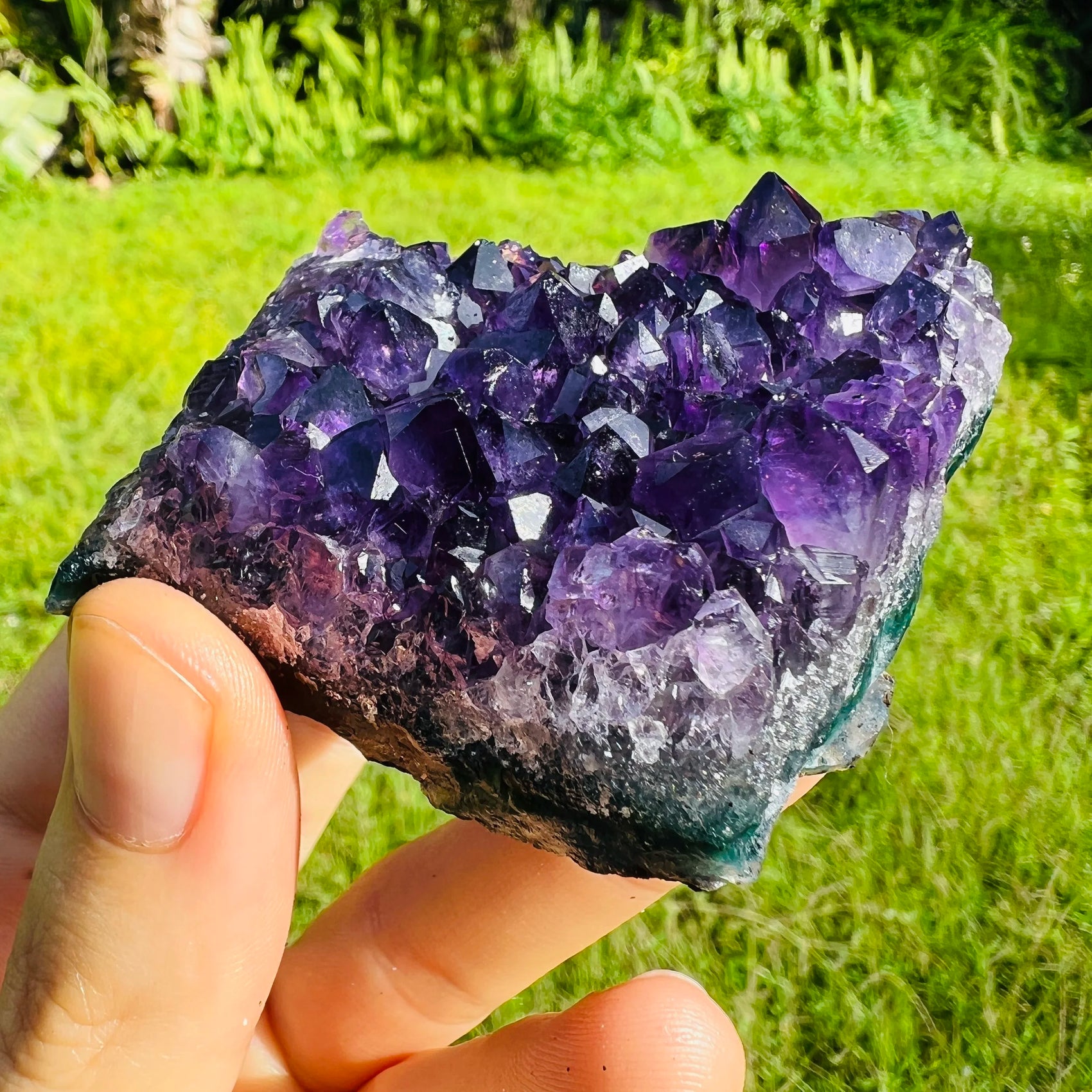 Back view of Grade AAA Amethyst cluster showing natural surface