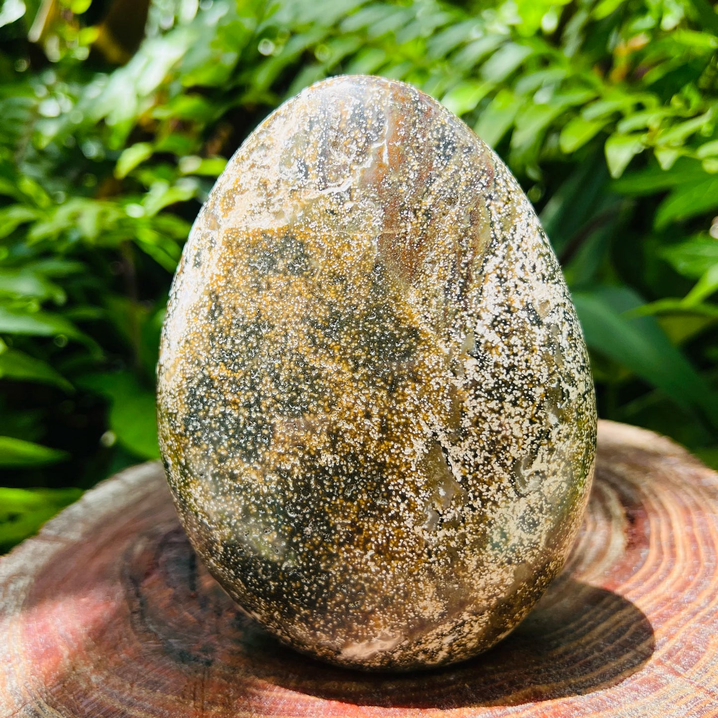 Overhead view of Grade A Ocean Jasper freeform, for Emotional Healing and Stress Relief, from Sofia, Madagascar.