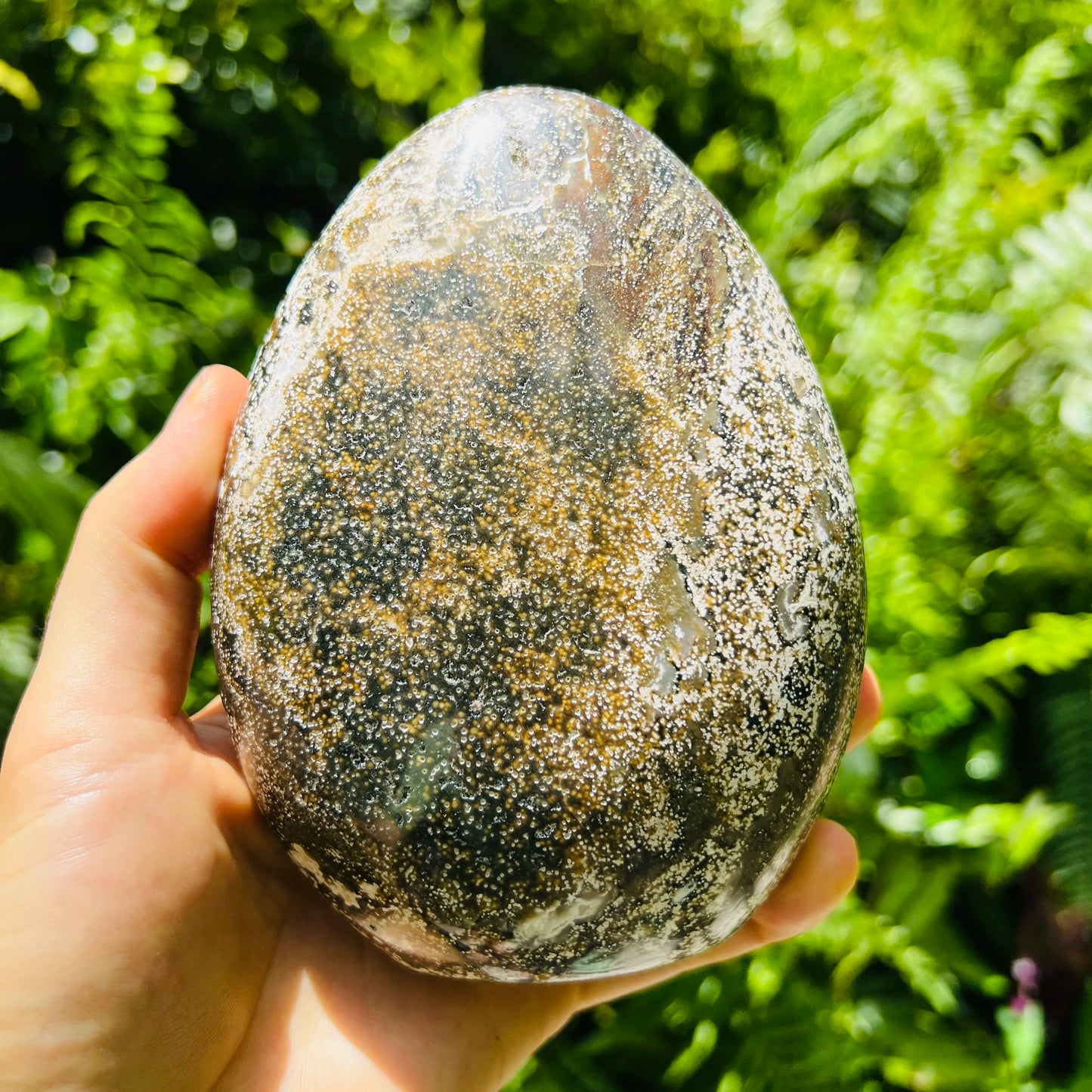 Palm-scale view of a single Ocean Jasper freeform from Sofia, Madagascar.